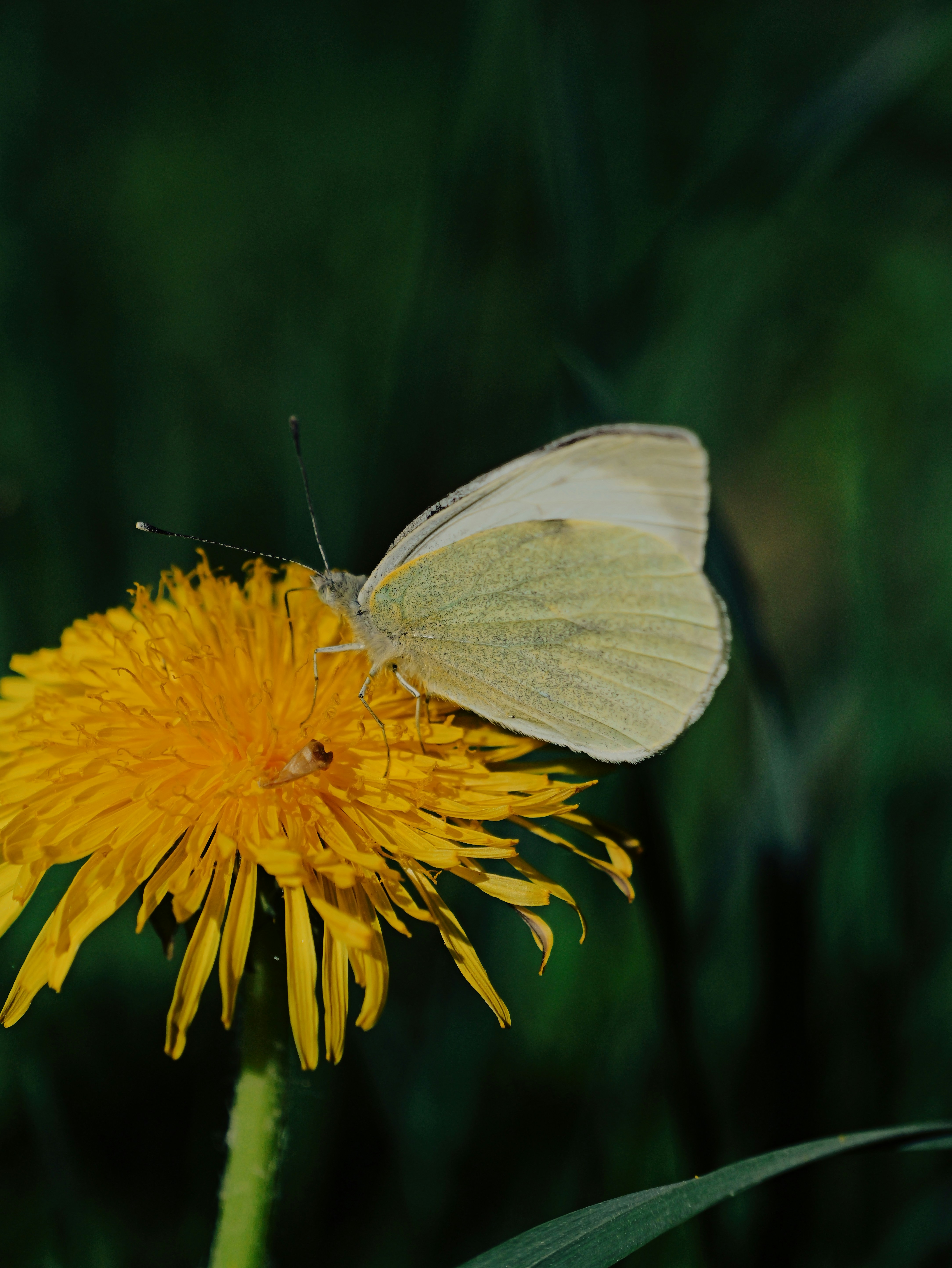 Photo by mft_refuge