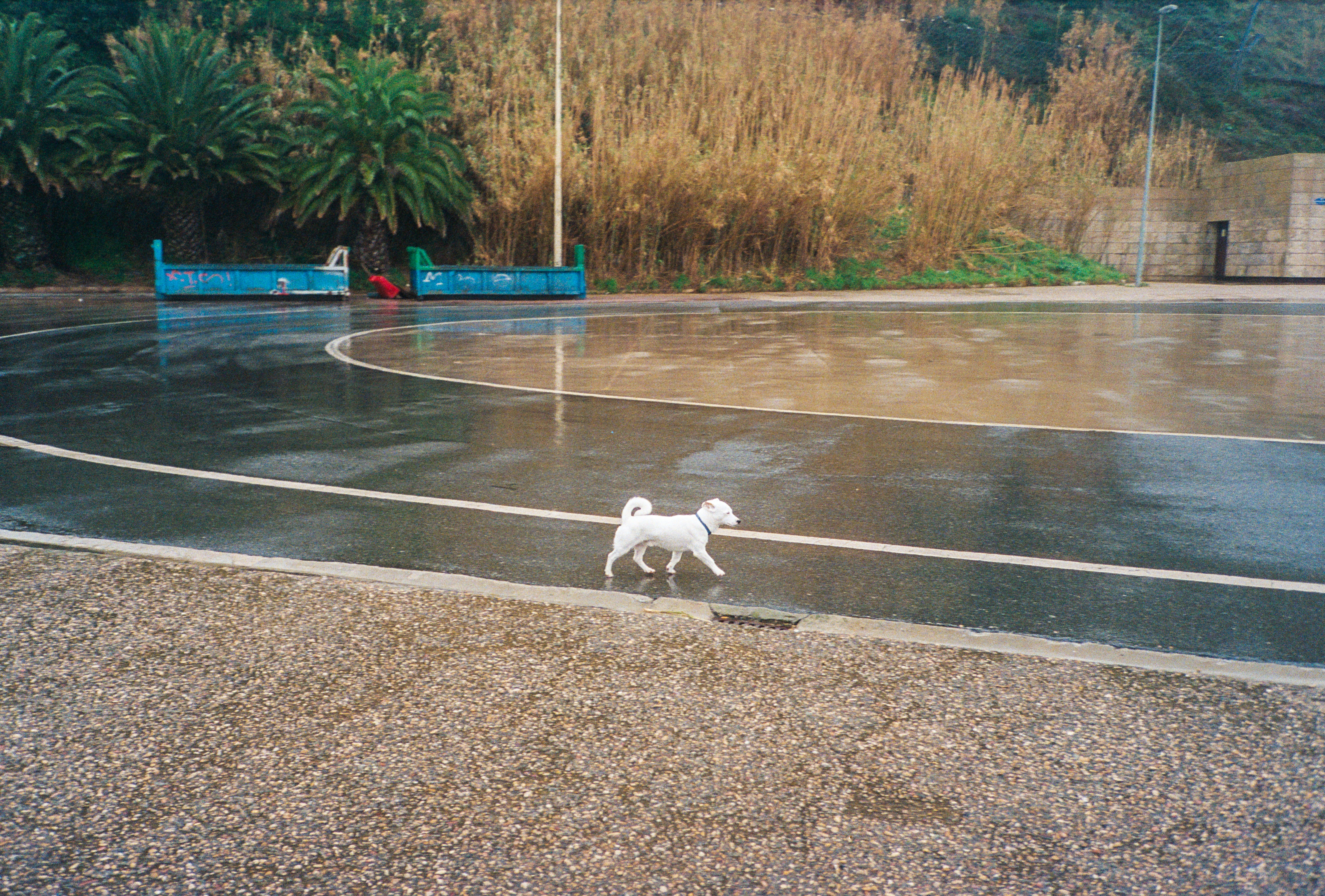 street phodography on film