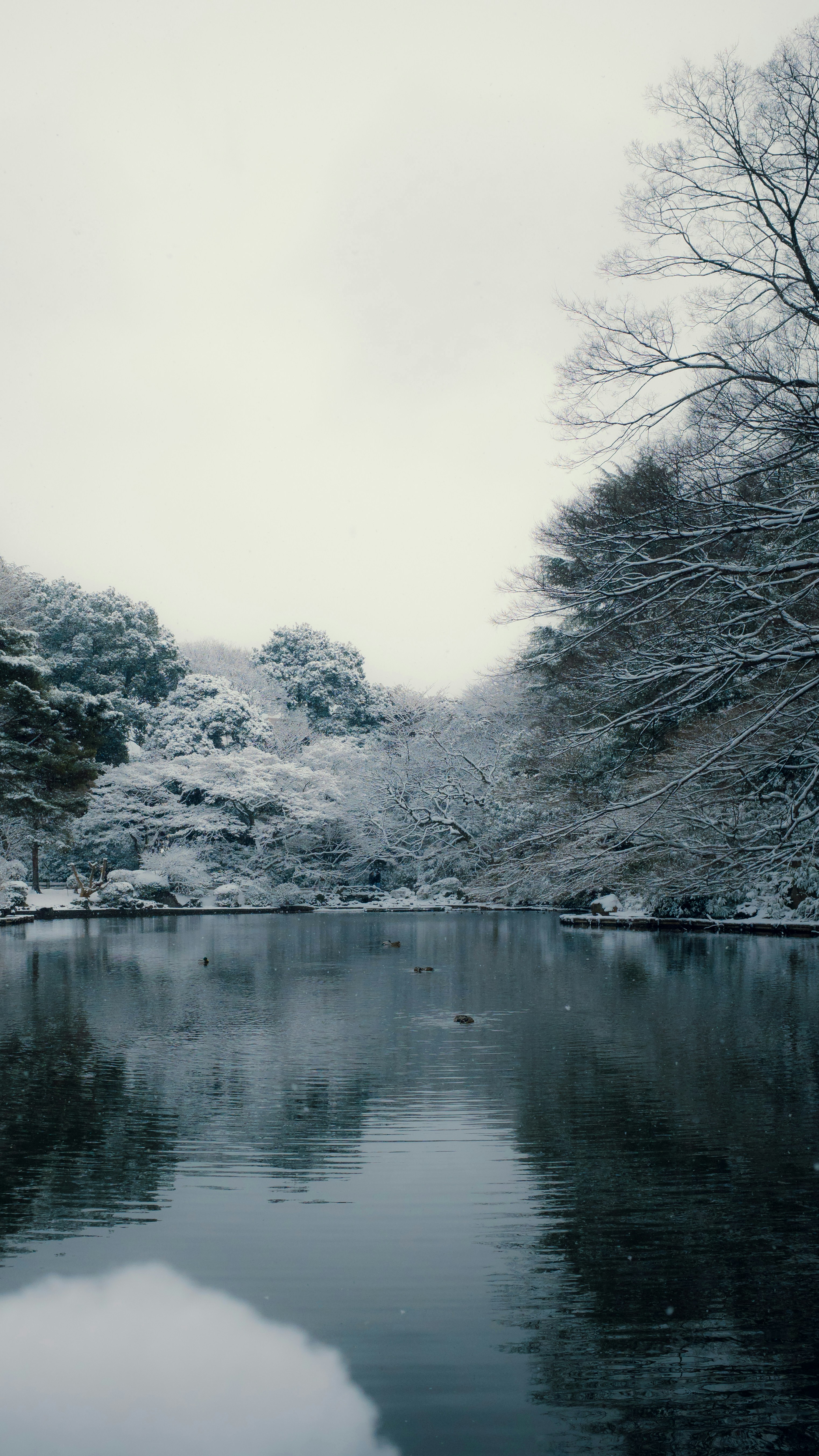 Photo by munchscream