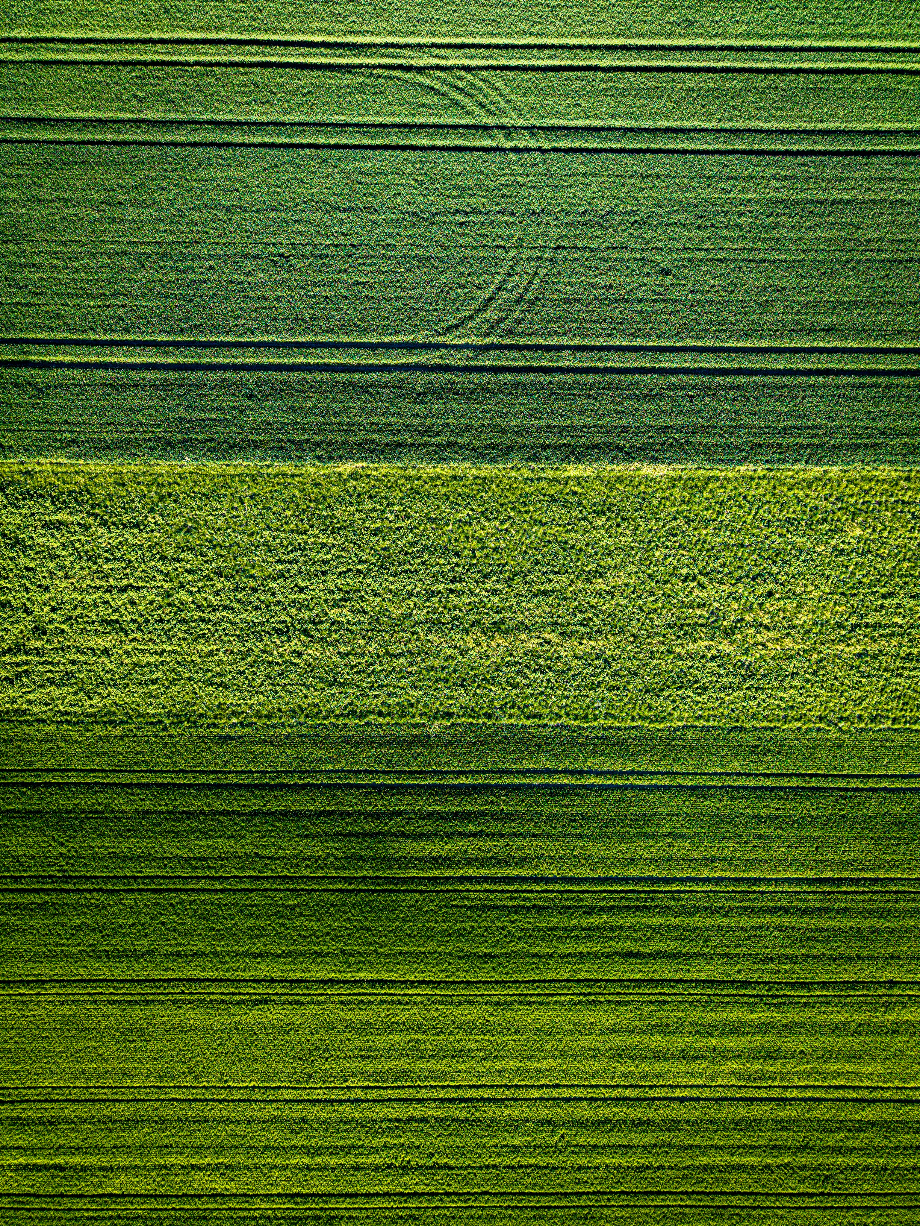 Photo by hdbernd