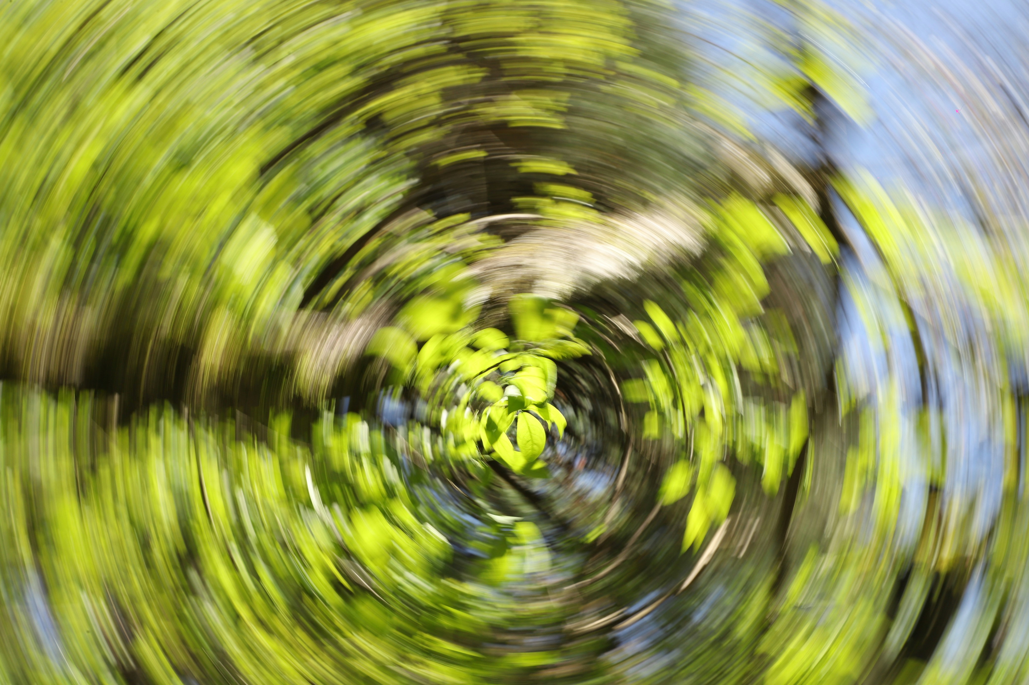 Hojas verdes en espiral con fondo azul