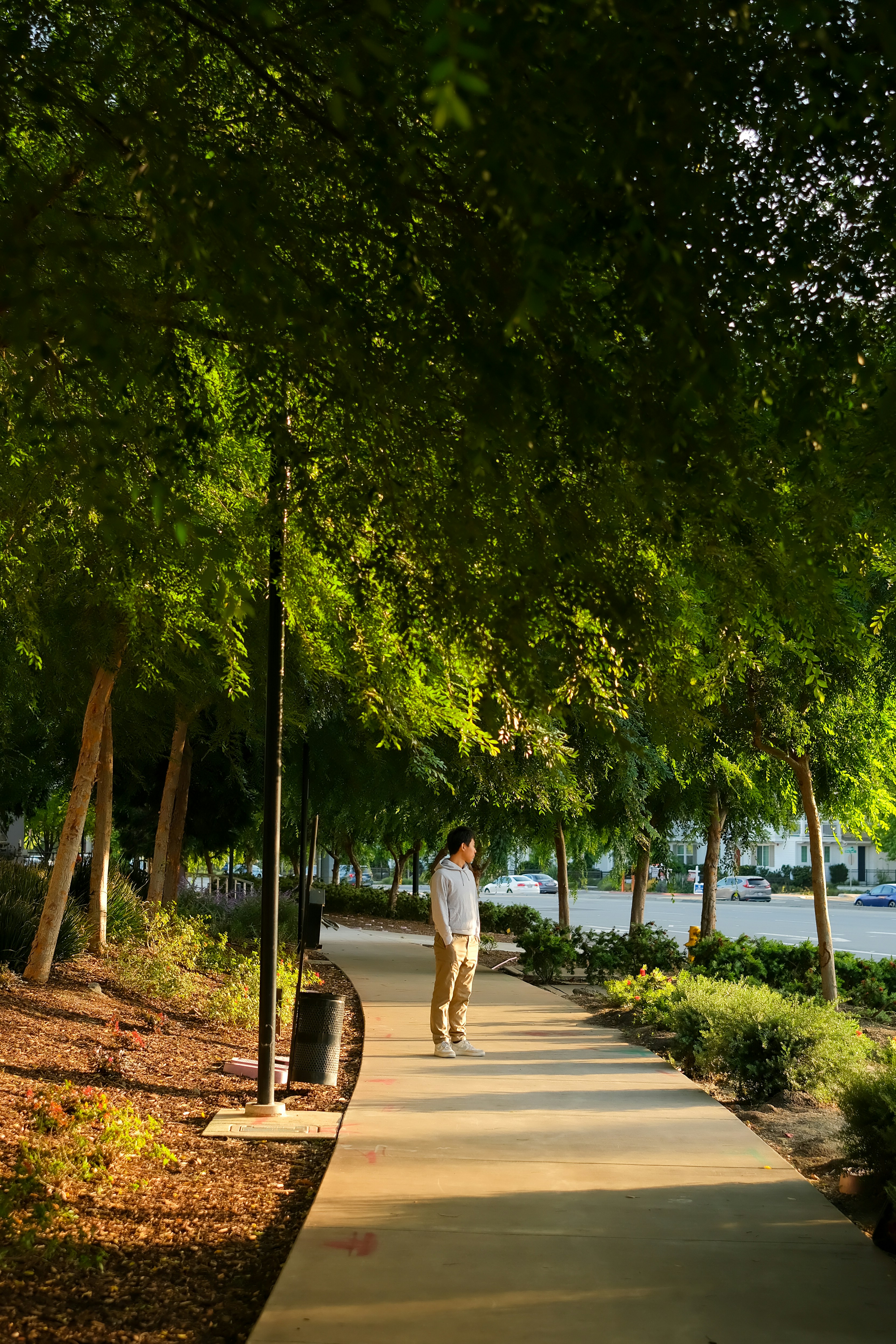 Homem parado em um caminho de parque iluminado pelo sol sob árvores.