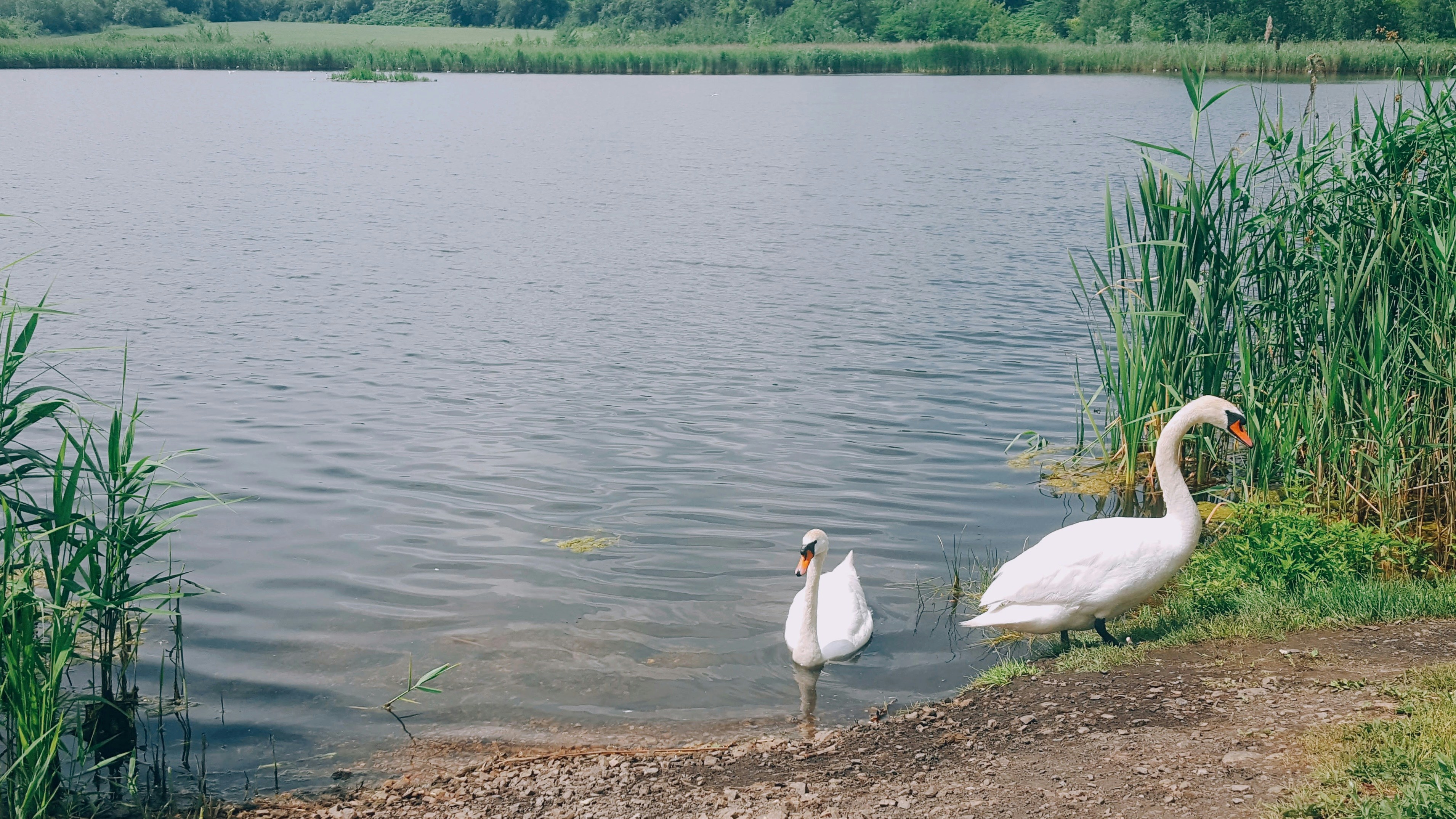 Photo by szczehoo