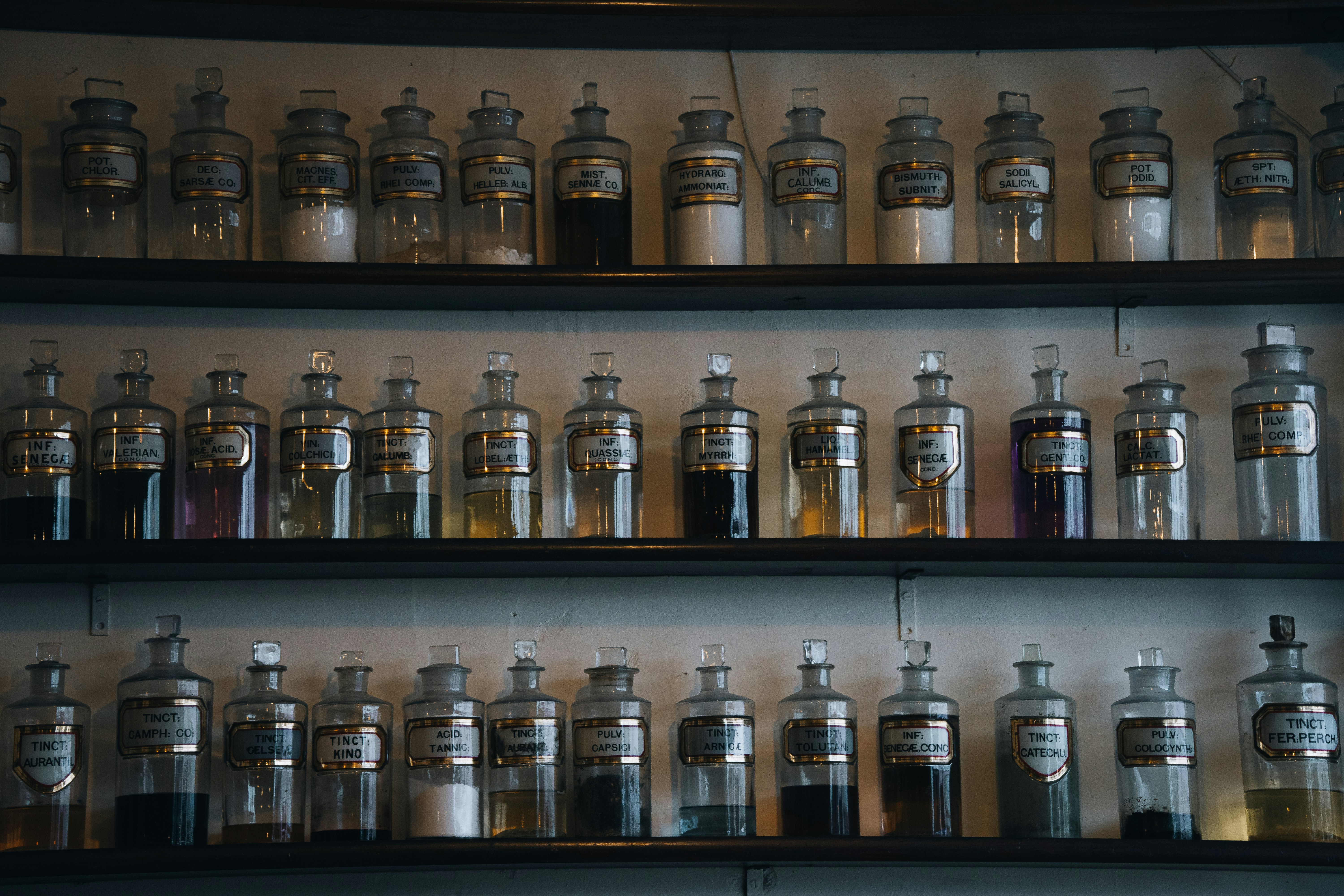 Expiration Dates on Medications: The Profitable Myth Costing American Patients Billions Each Year