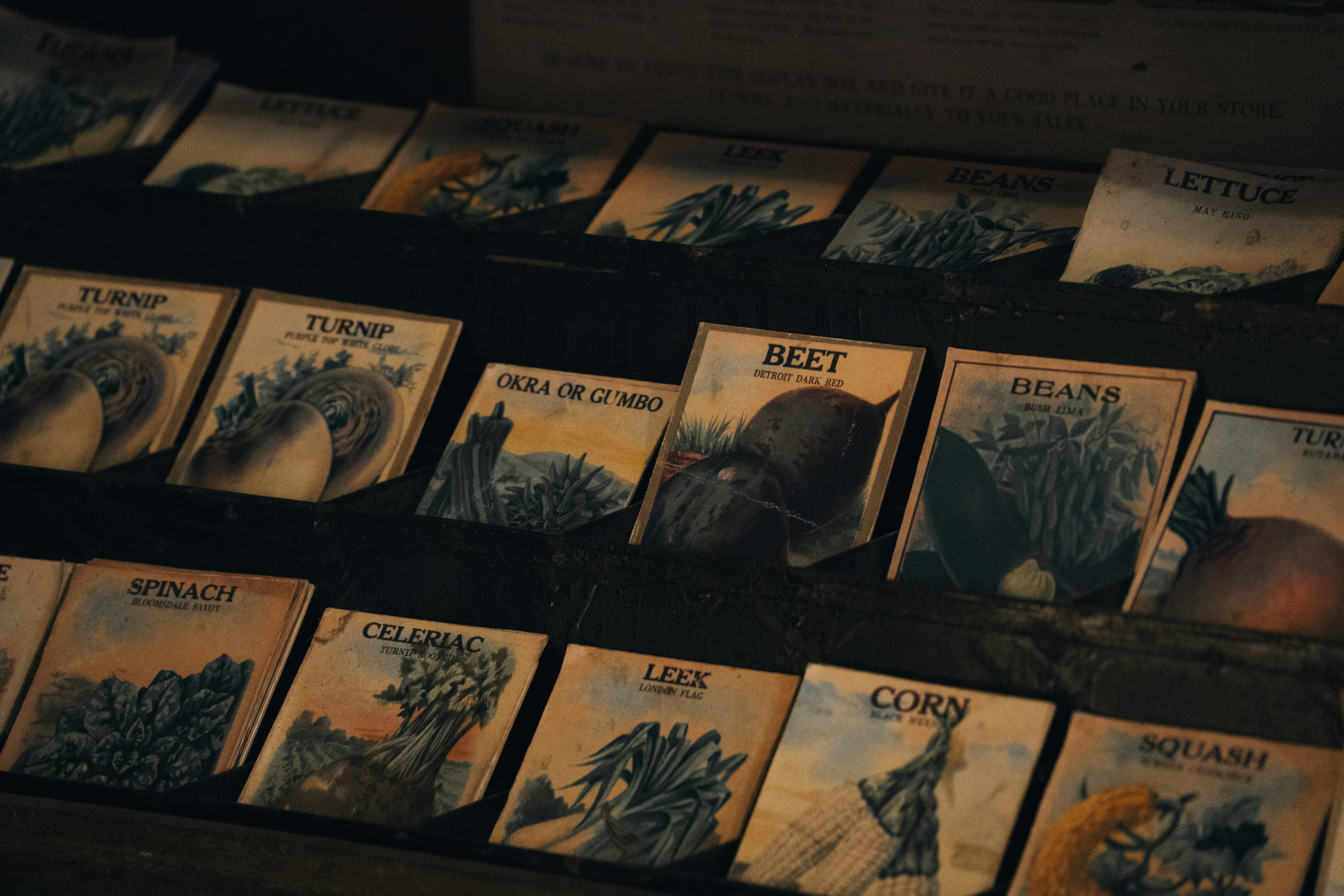 Ever wonder what it took to keep family traditions alive generations ago? These antique seed packets are proof that even humble beginnings can blossom into legacy 🌻.