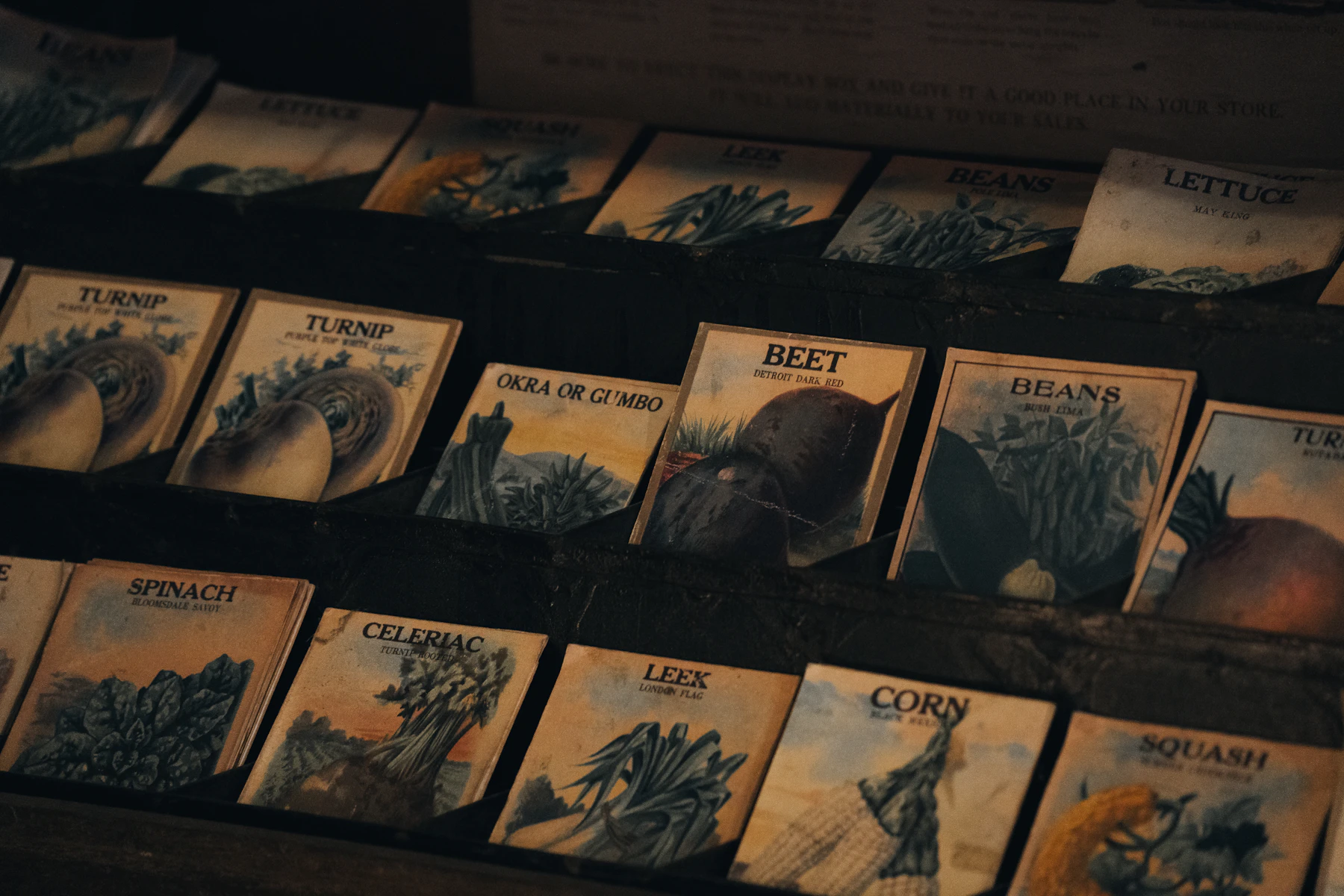 Old illustrated vegetable seed packets for turnip, beet, beans, leek and corn lined up on a dark rack