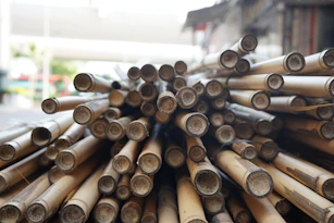 A pile of cut bamboo stalks with open ends.