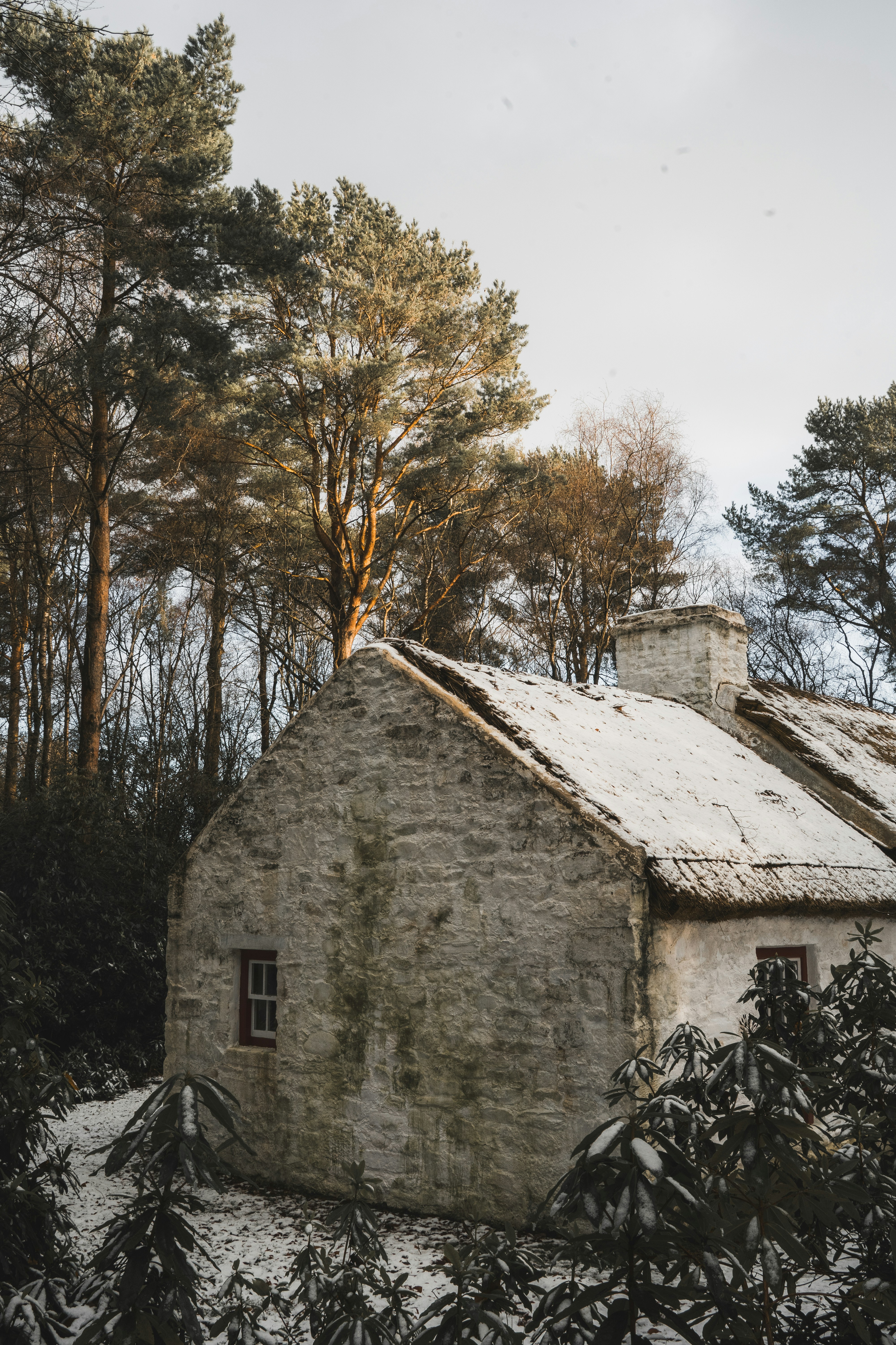Amid the hush of winter, this rustic cottage stands as a reminder that roots run deep—each stone telling the story of those who journeyed between Ulster and America, following hope through the cold. 🌨️