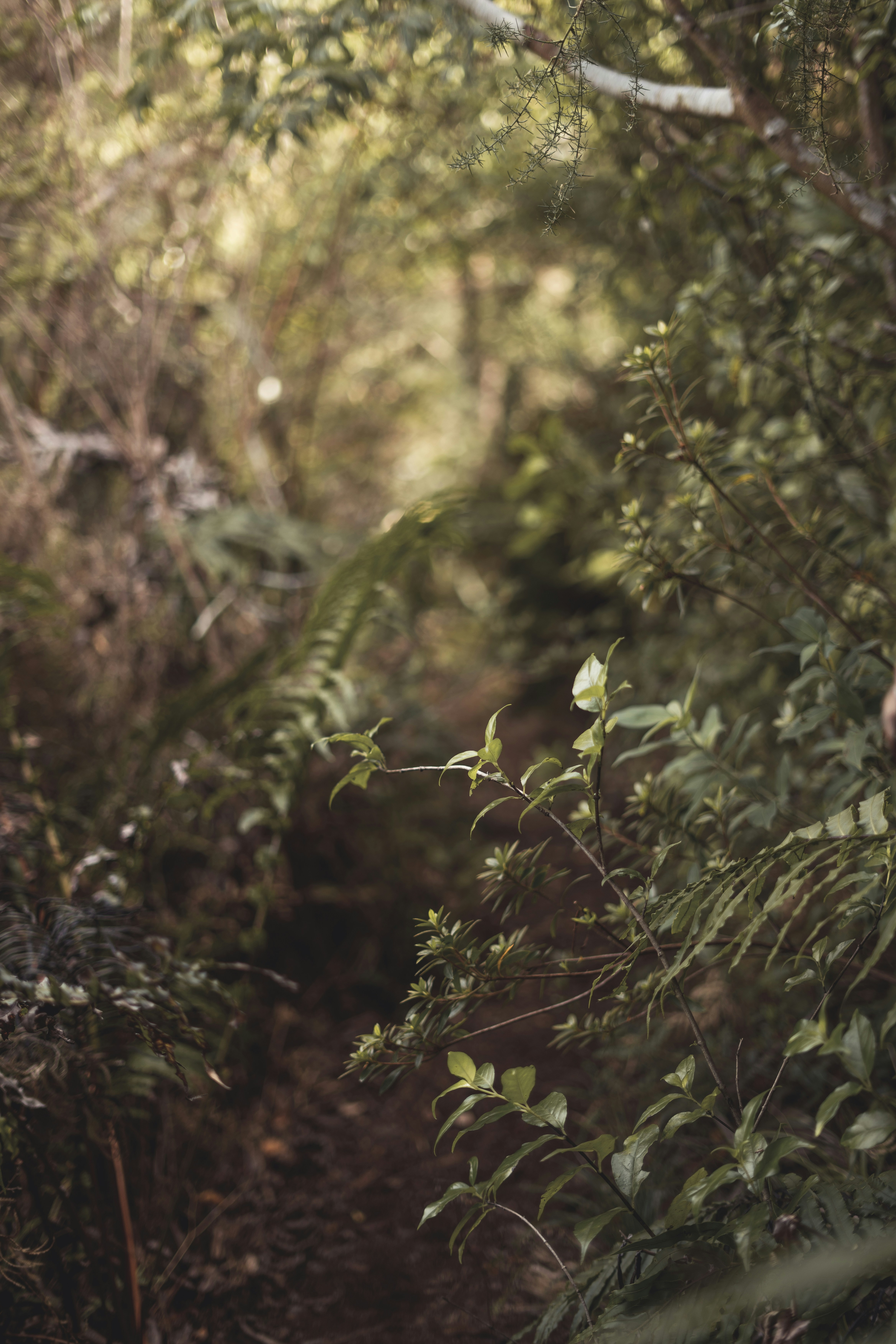 Photo by countingframez