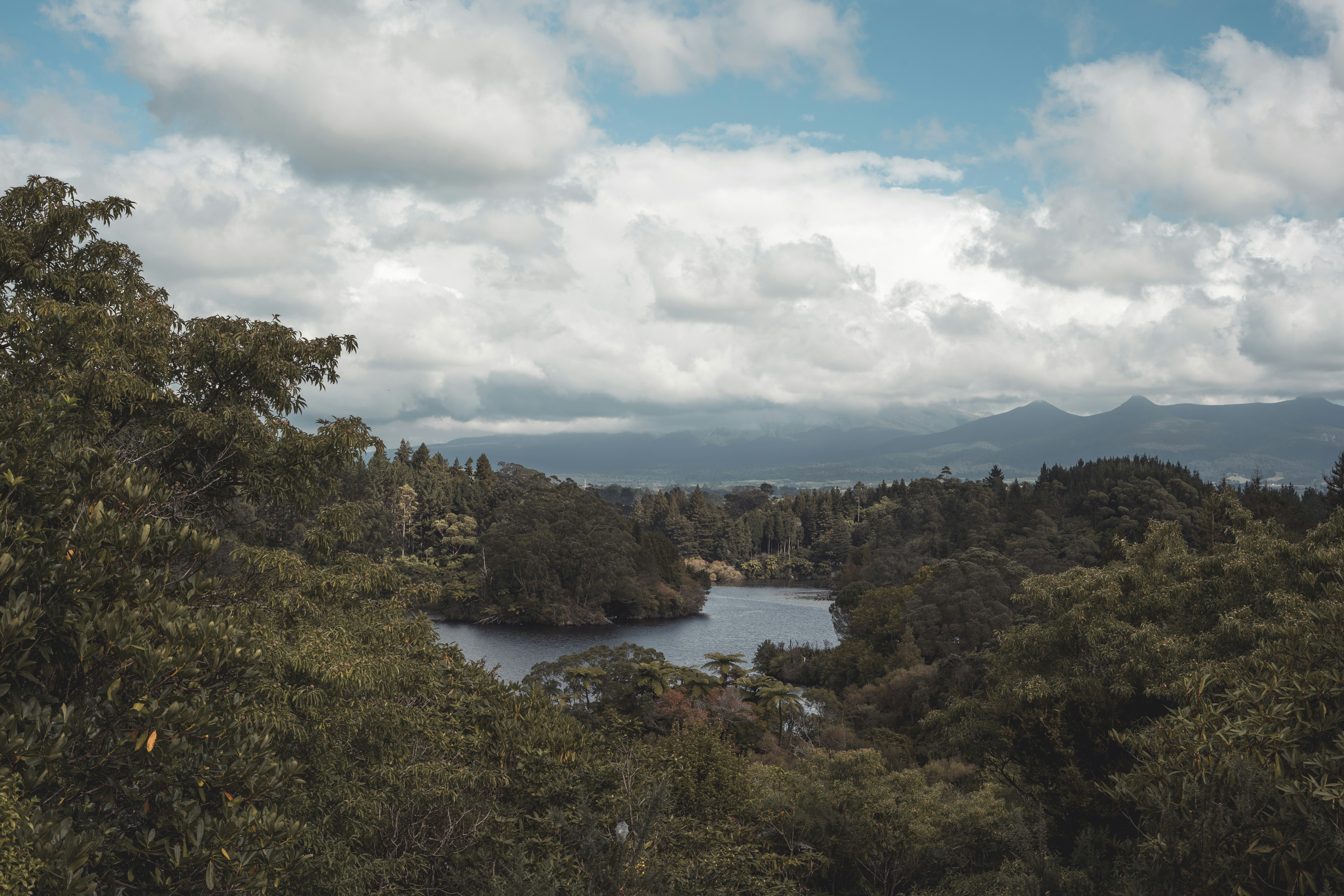 Lush green trees surround a calm lake under cloudy skies.