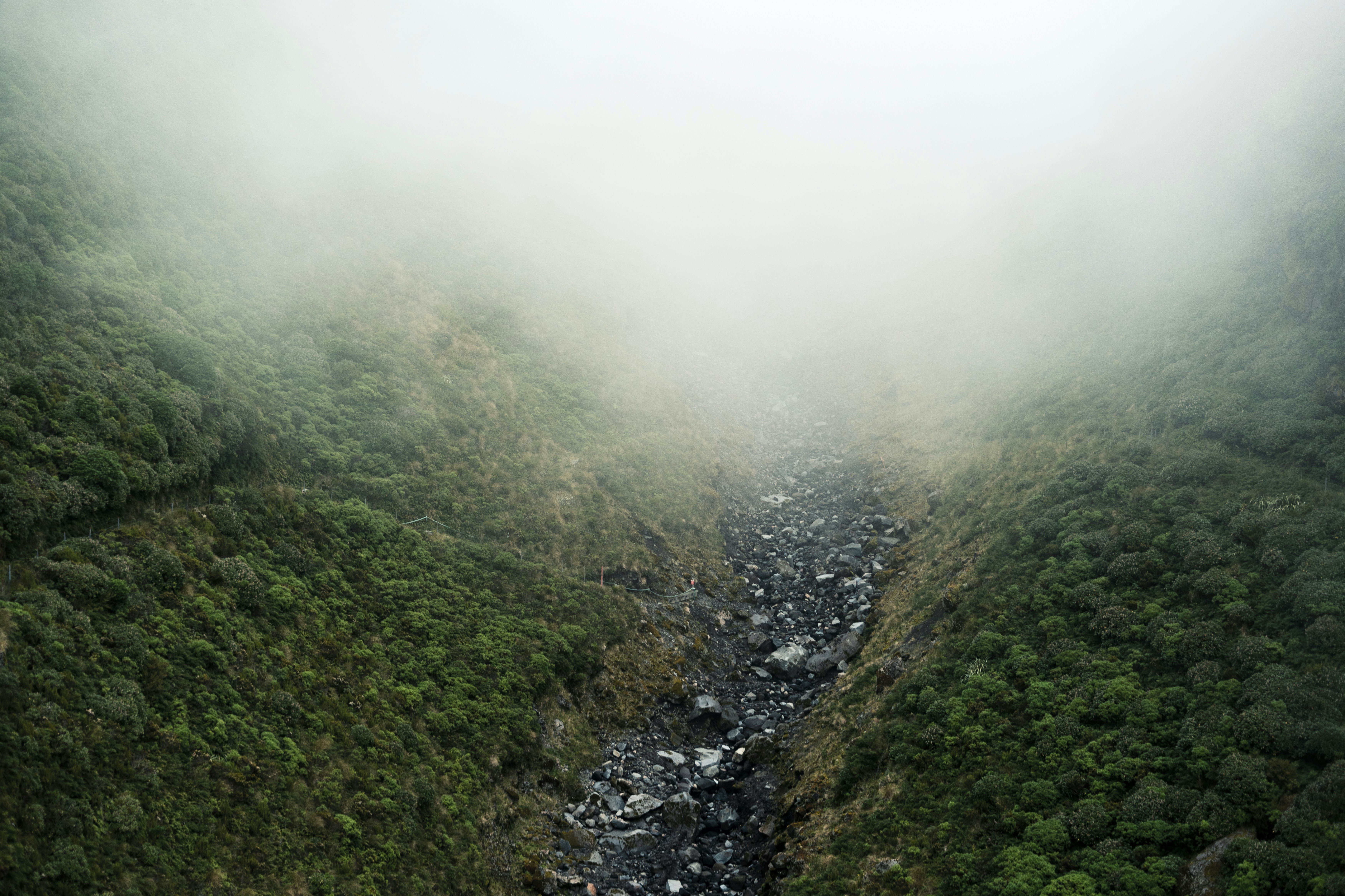 Misty mountain valley with rocky stream bed