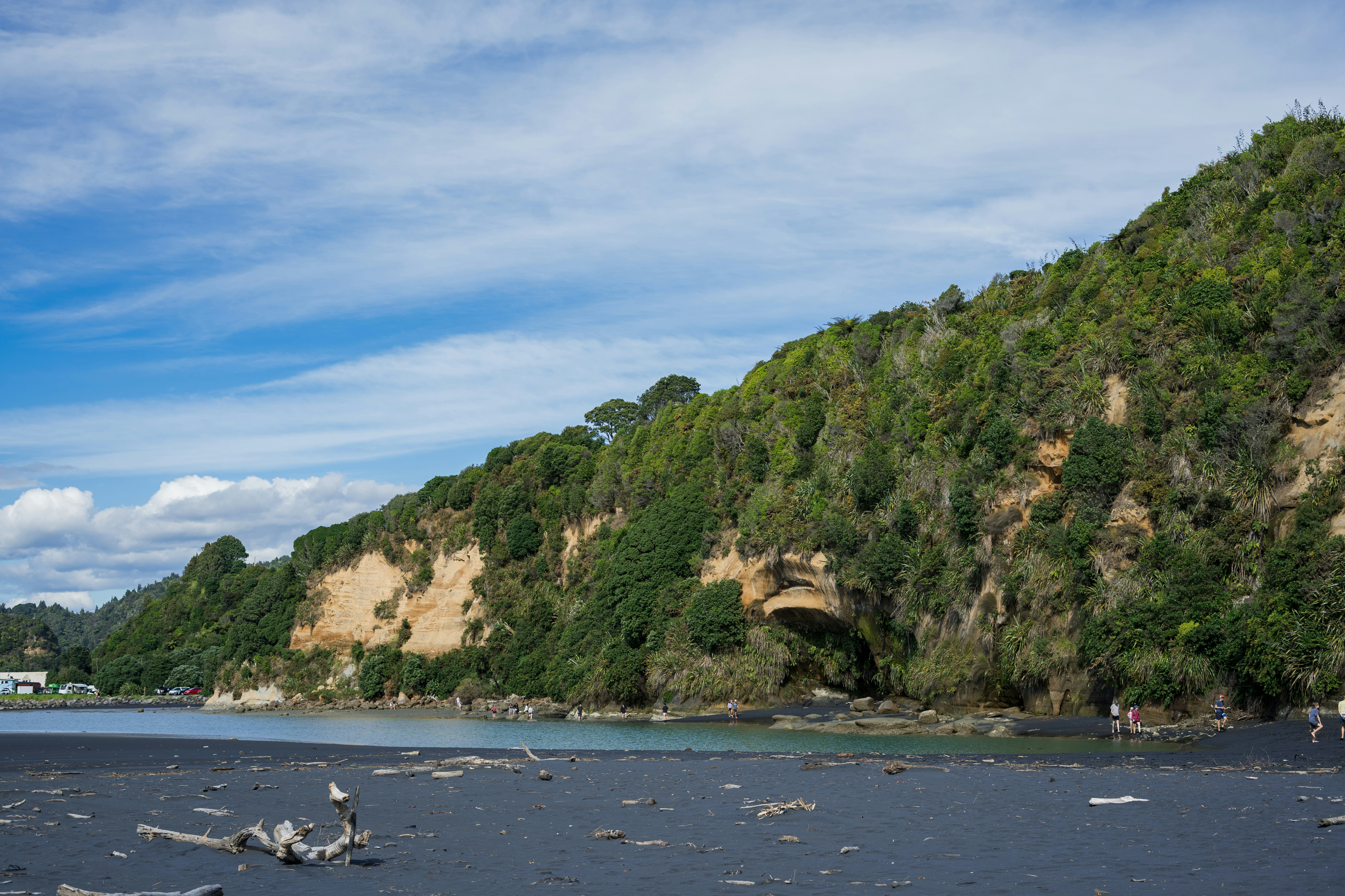 Lush green hillside overlooking a dark sandy beach.