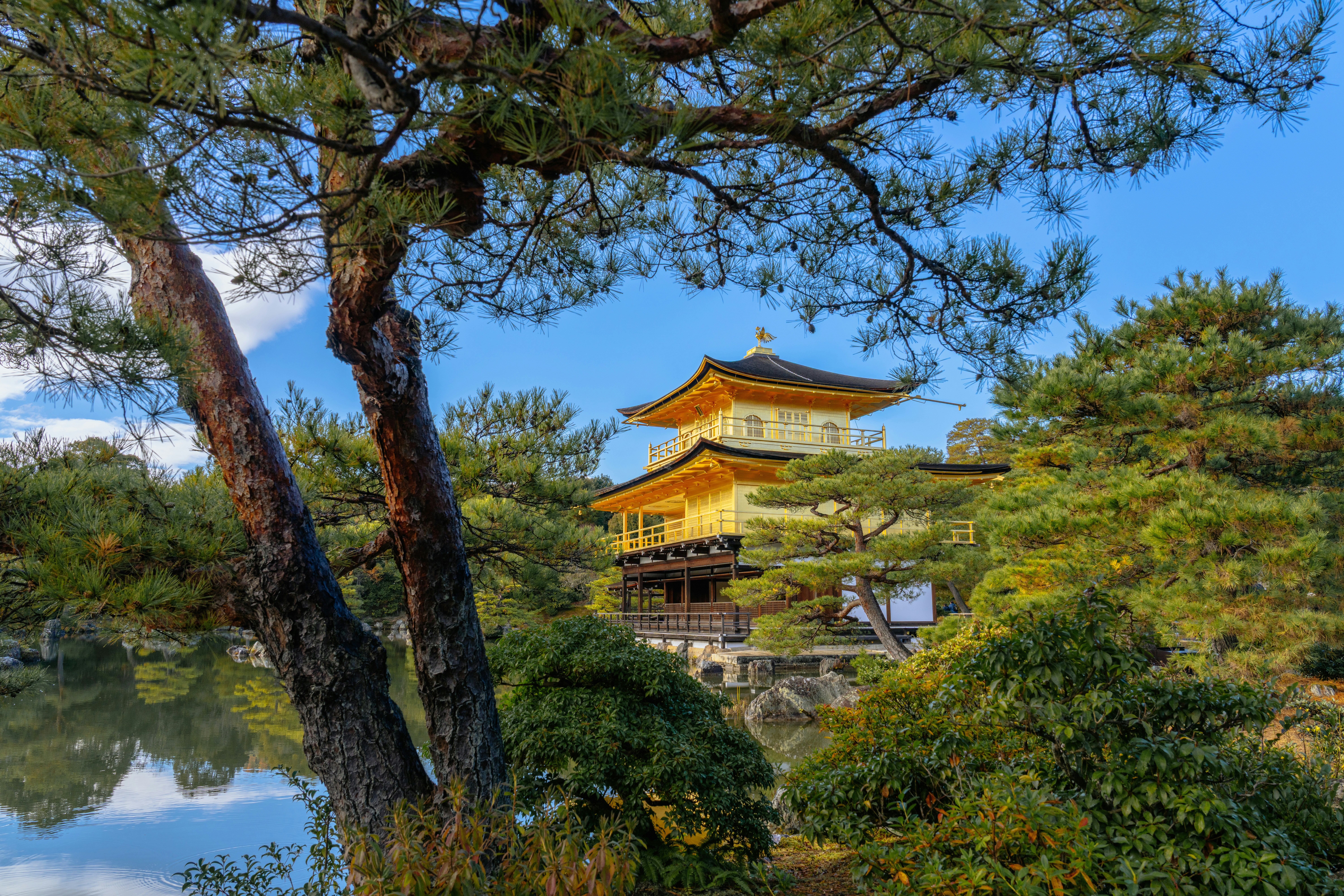 Golden temple surrounded by lush green trees and water.