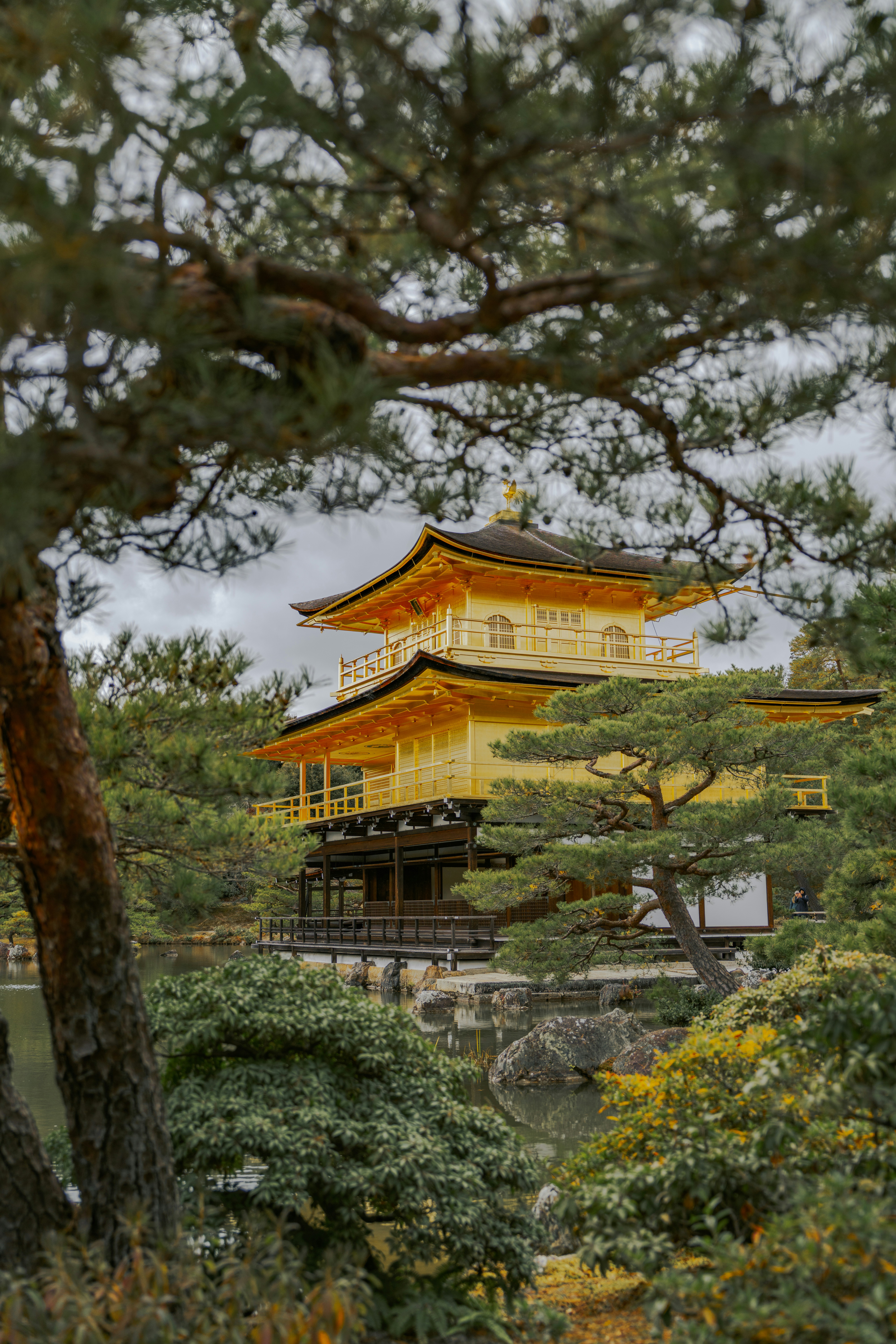 Golden pavilion surrounded by lush green trees
