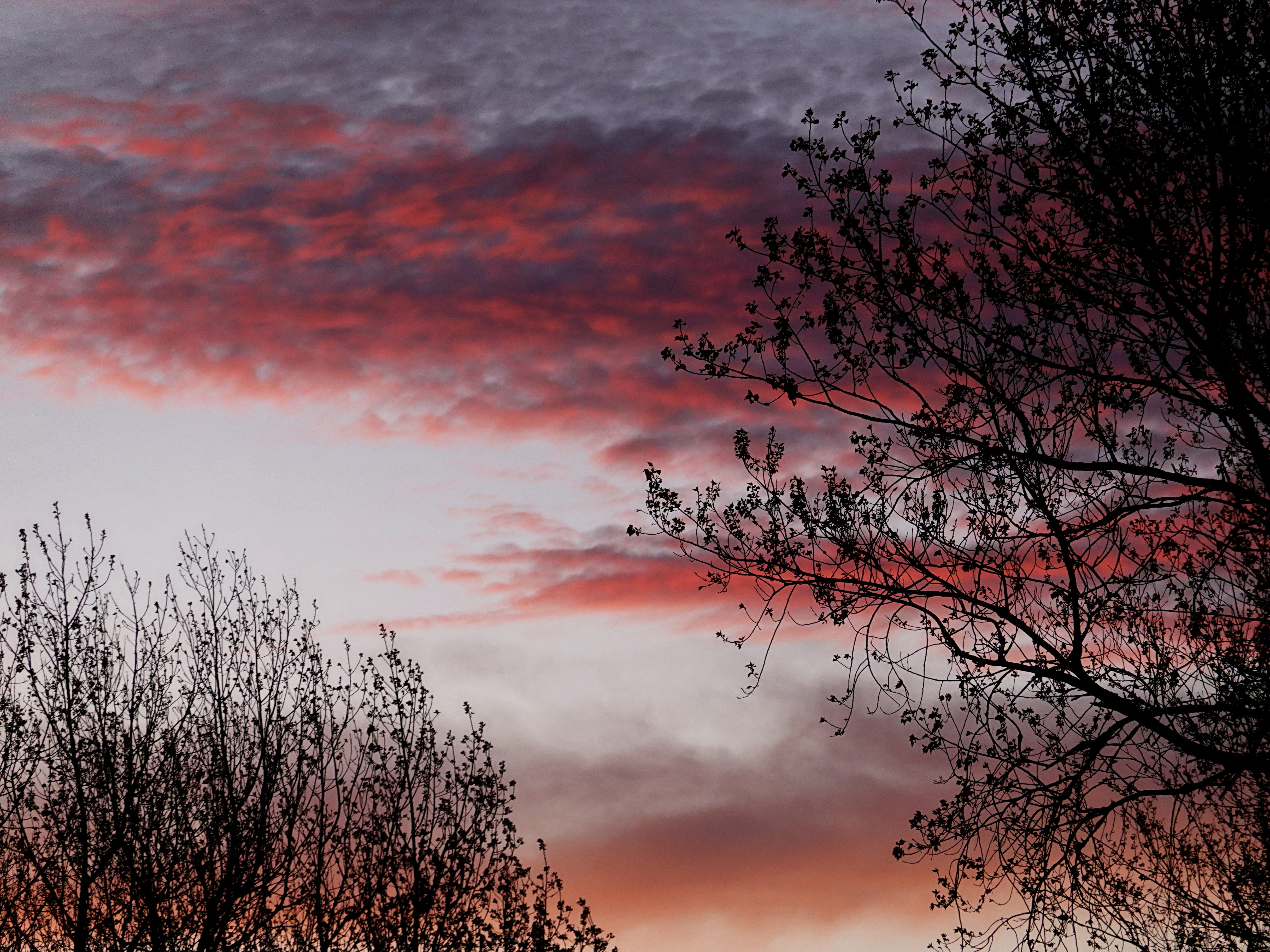 Photo by thecurlyone