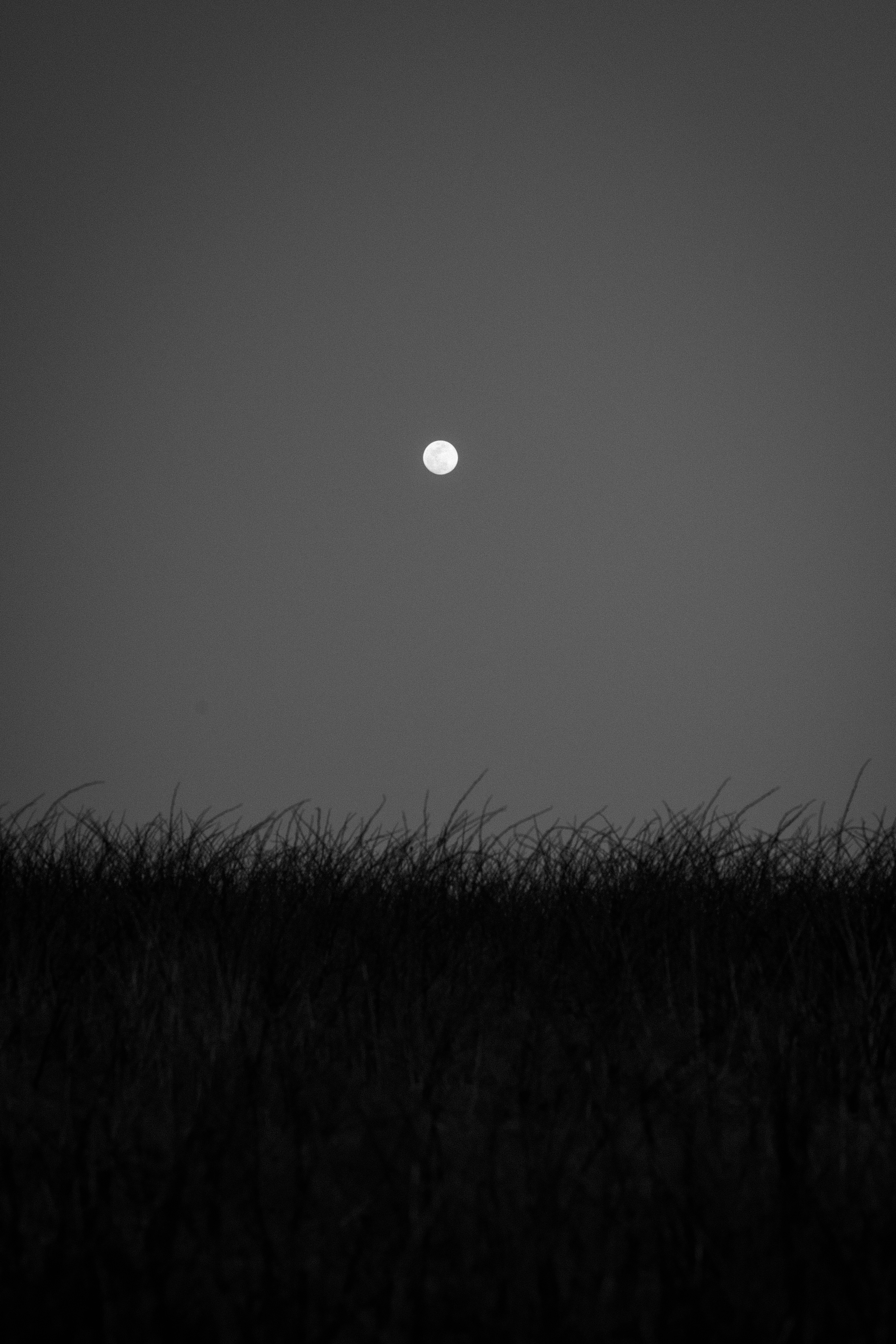 Lua cheia sobre um campo gramado escuro à noite