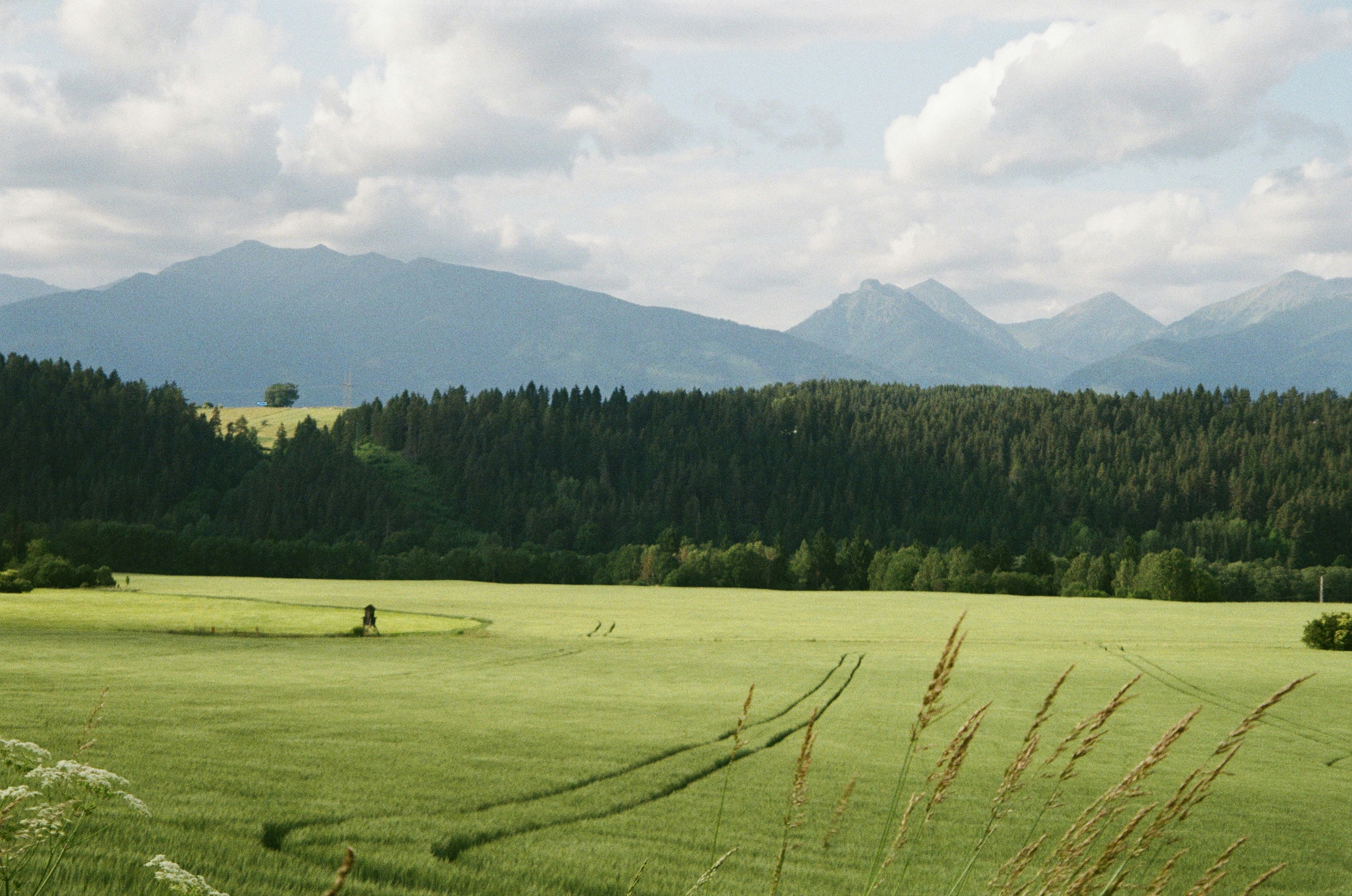 Photo by igortrek
