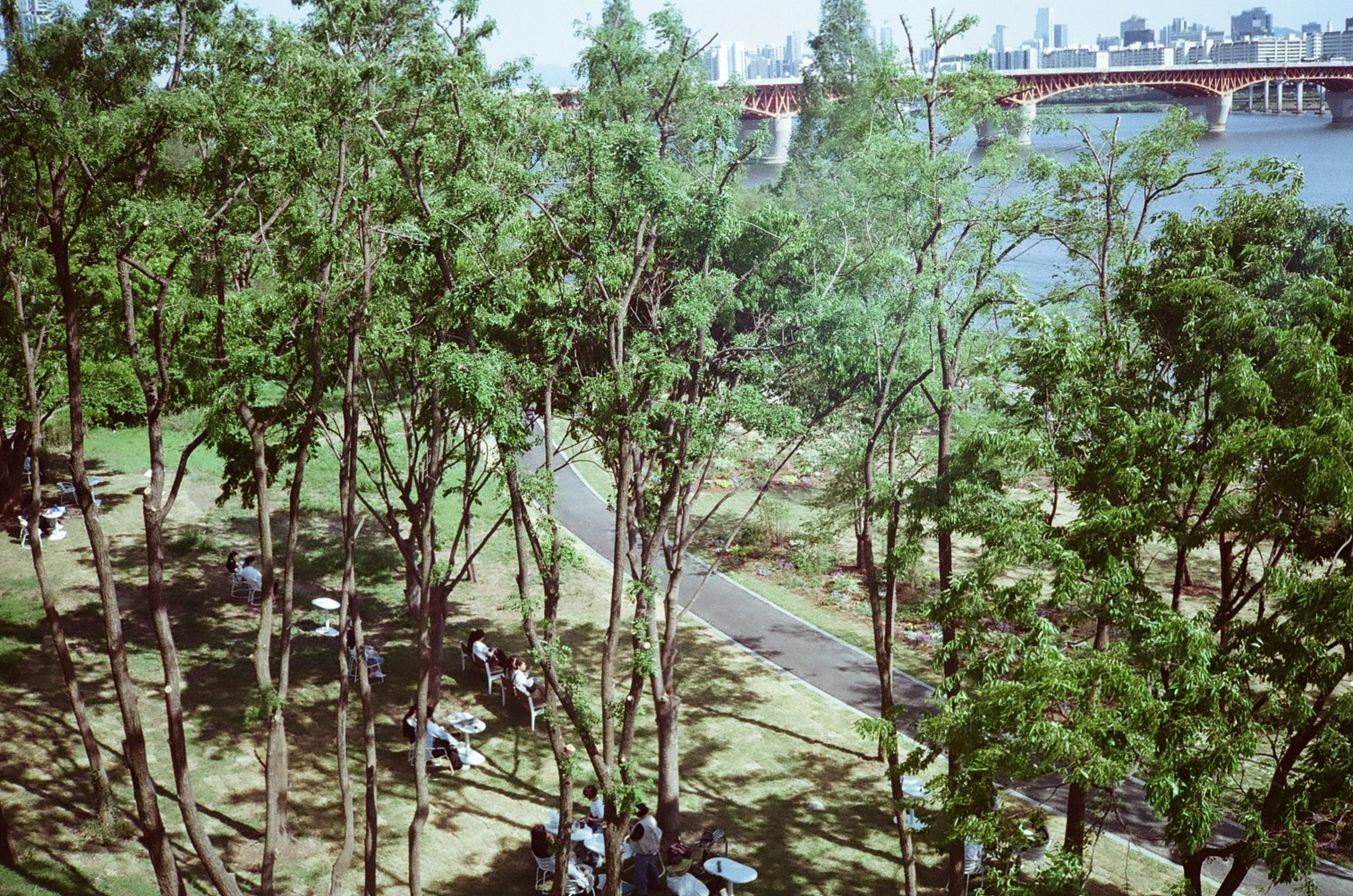 Brookside Park