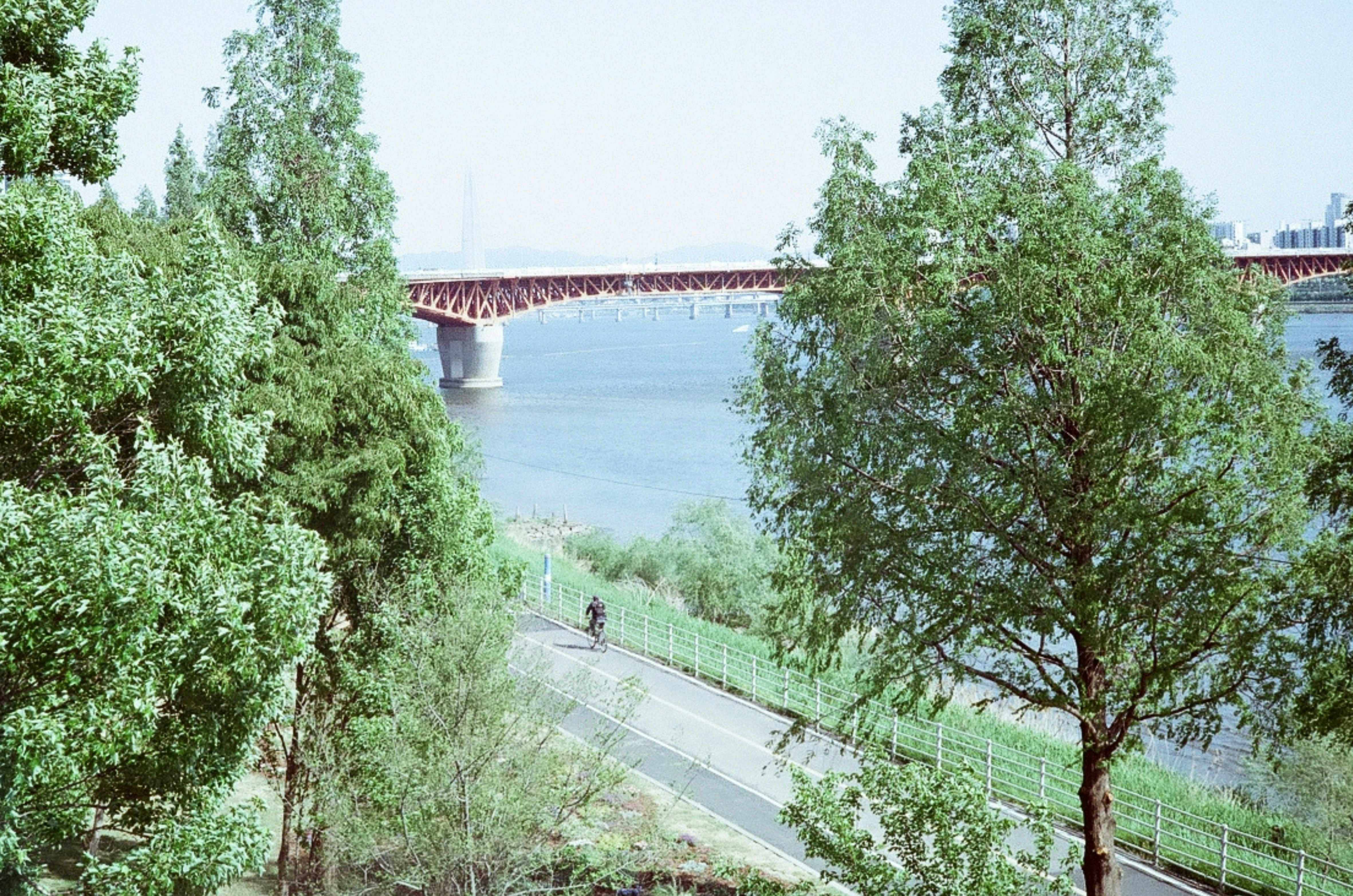 Path by a river with trees and a bridge