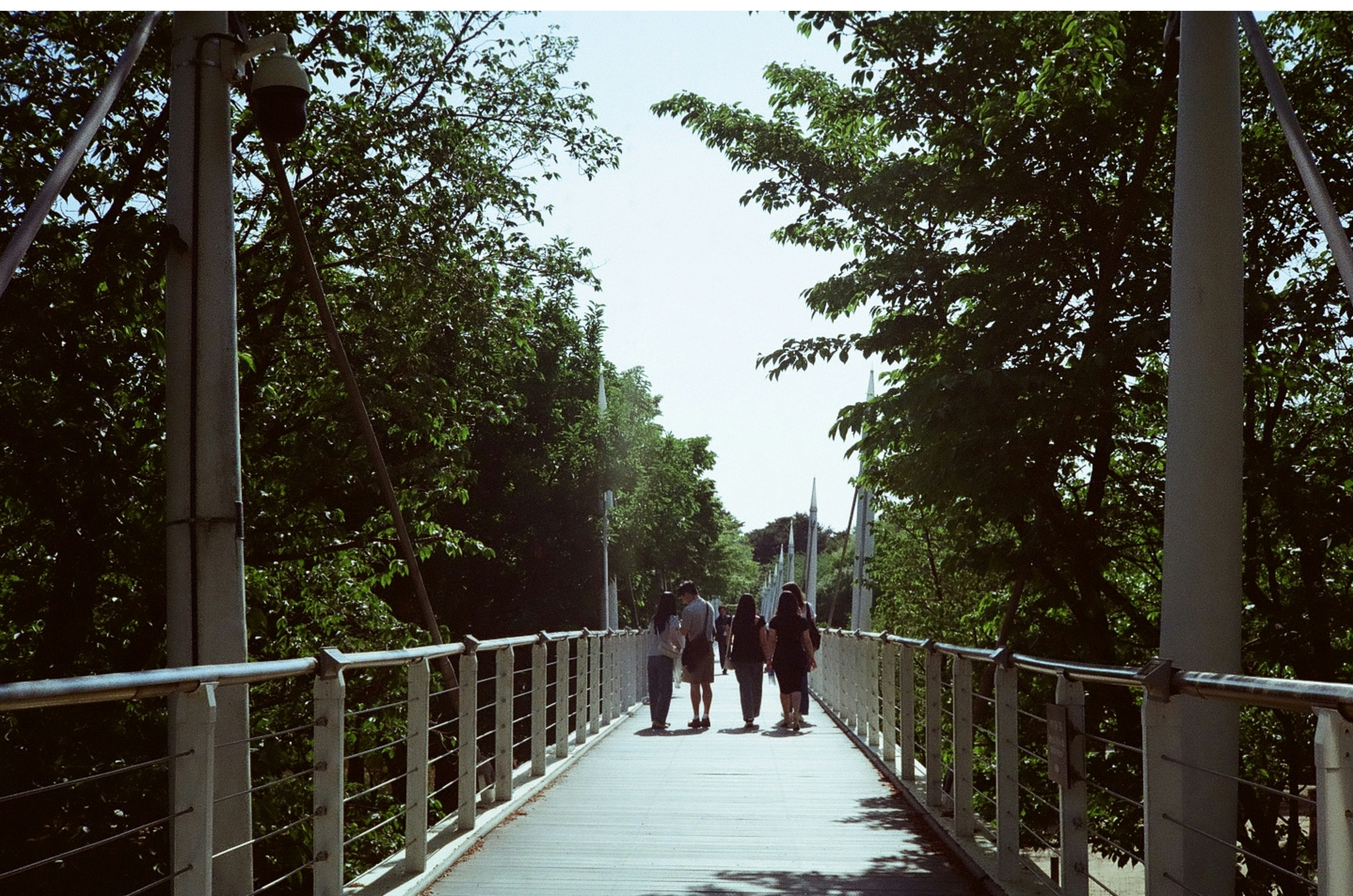 Photo by pongz