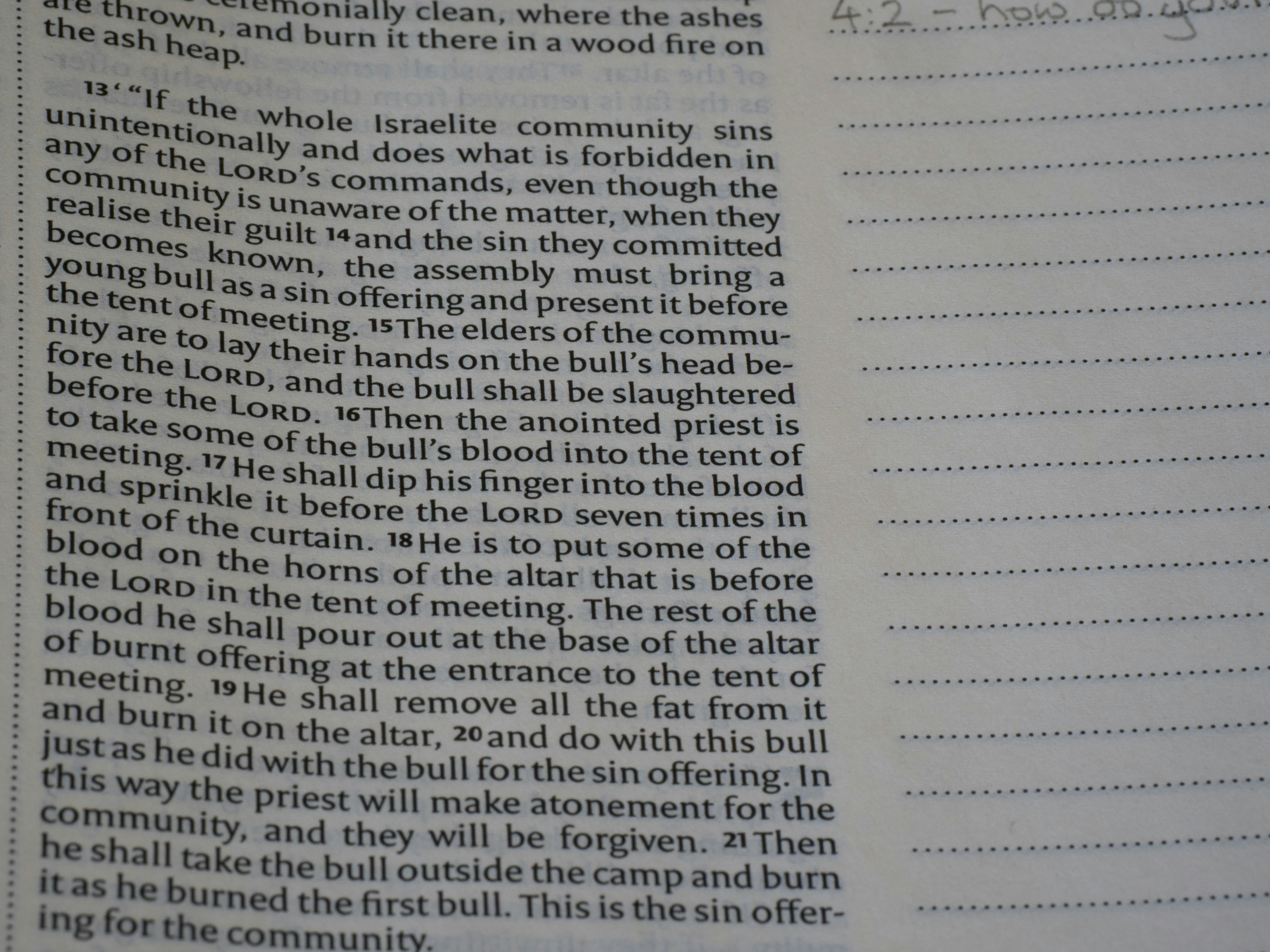 Nahaufnahme von Text in einem Buch mit handschriftlichen Notizen.