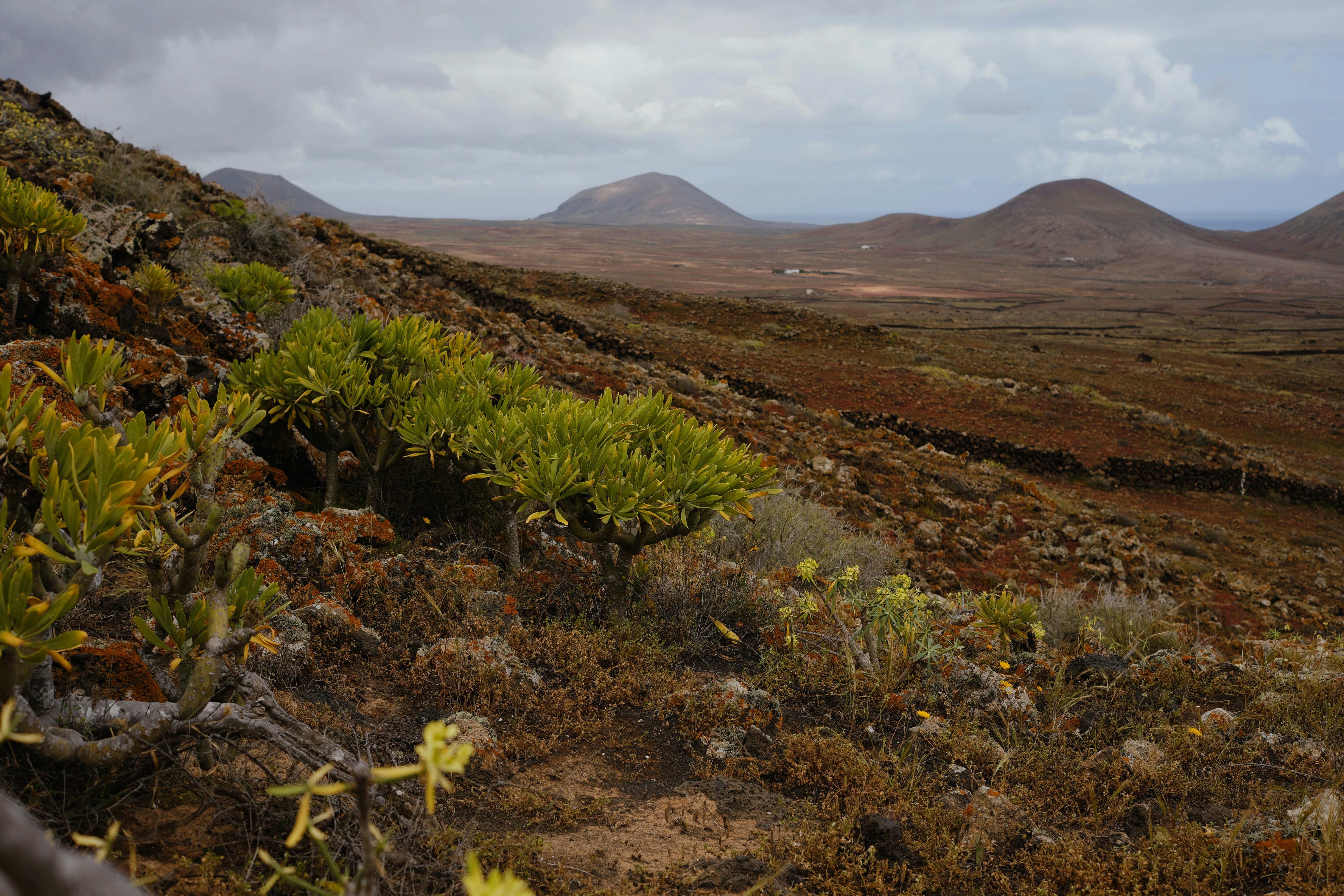 Paisagem seca e árida com colinas rochosas e vegetação escassa.