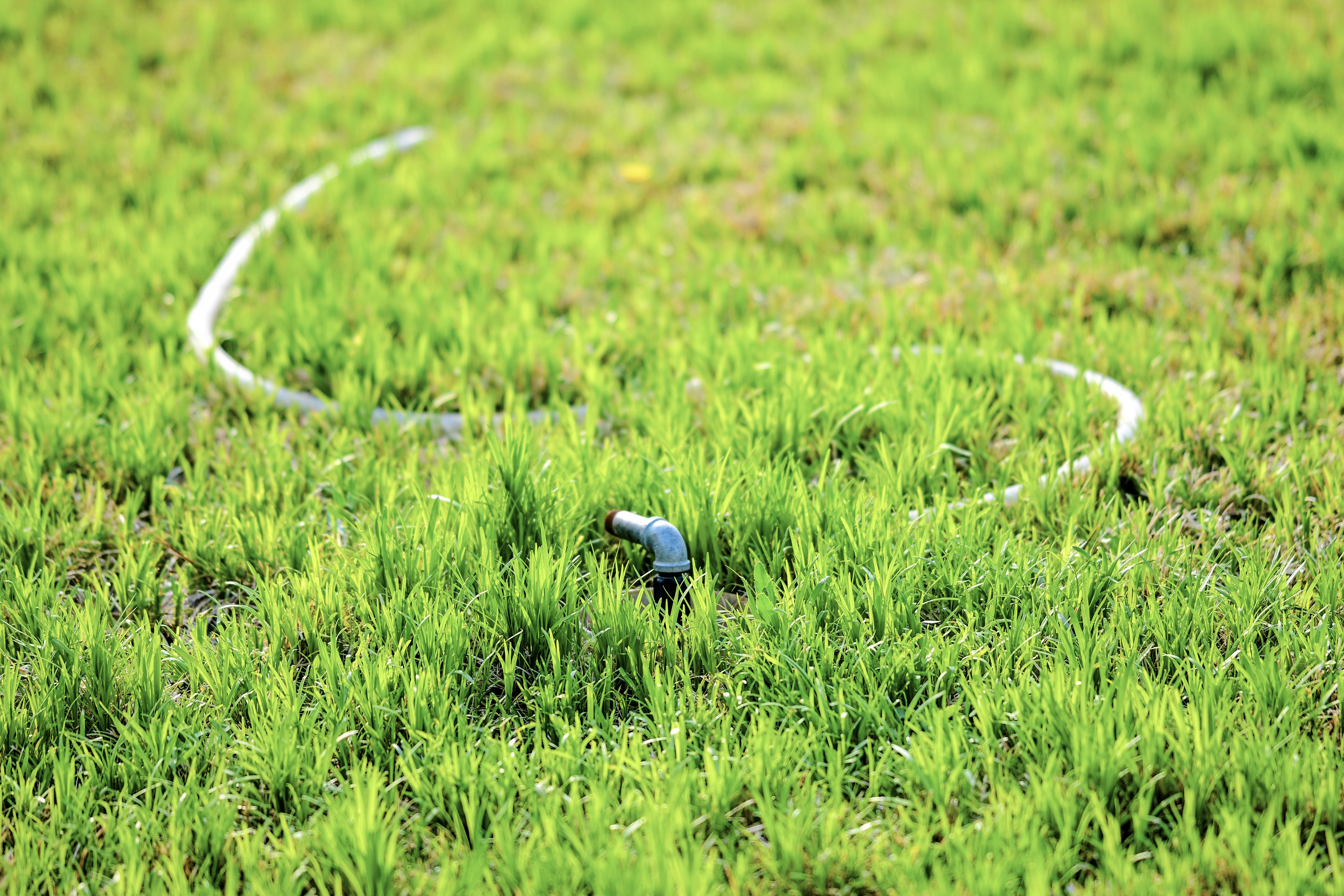 sprinkler maintenance