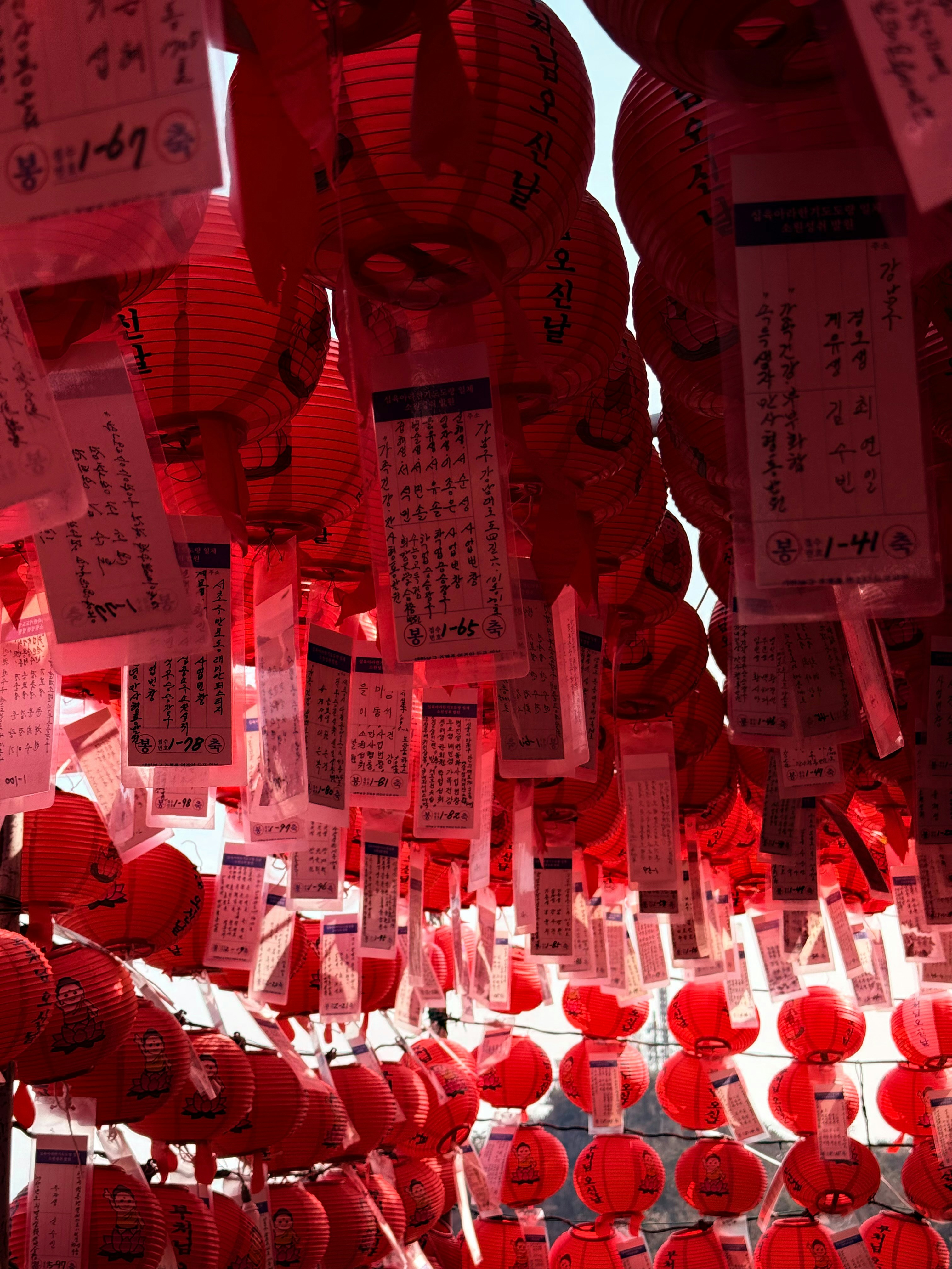 Many red lanterns with prayers hang outdoors.