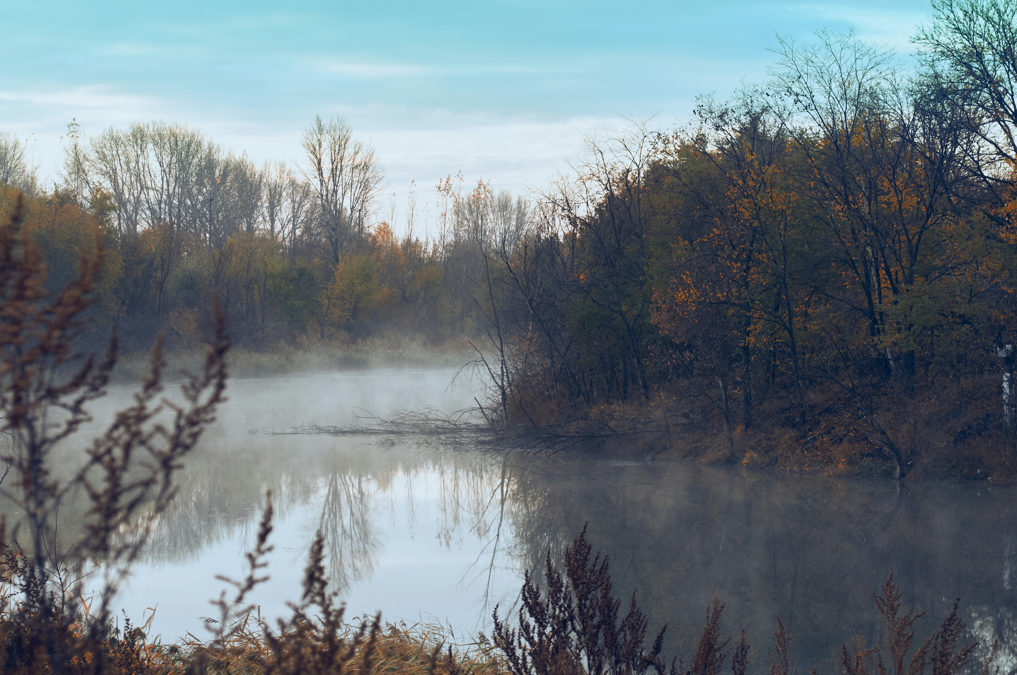Photo by akessler63