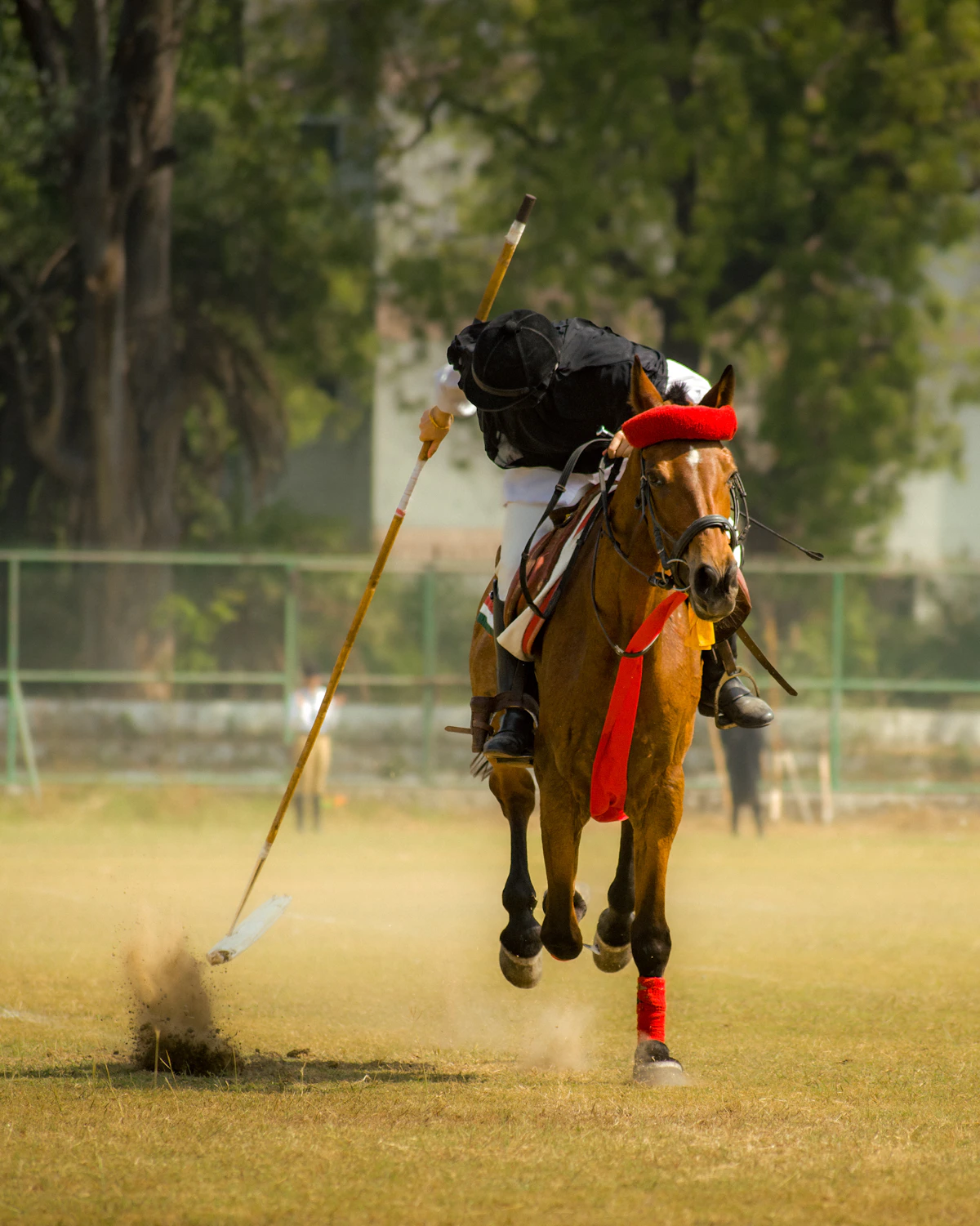 Dubai Polo Summer Cup · поло, открытие летнего сезона