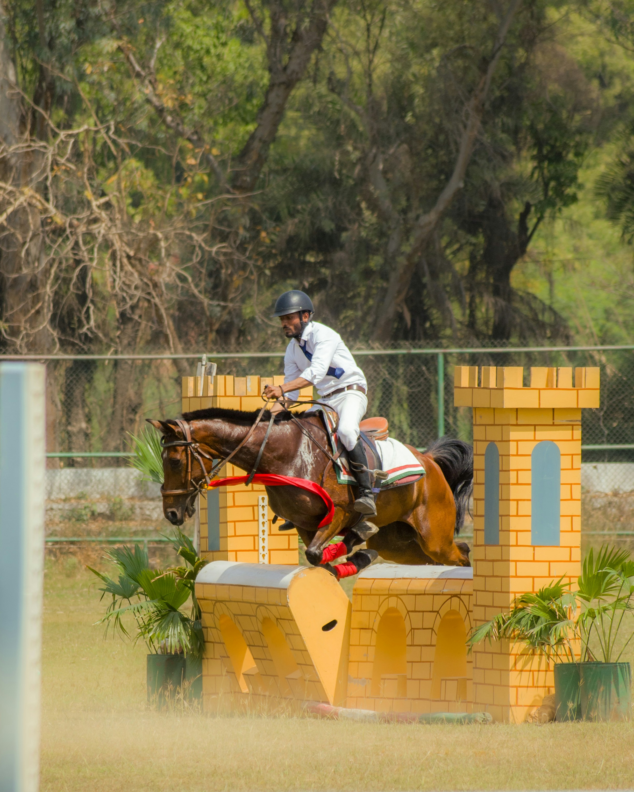 Uomo a cavallo che salta un ostacolo