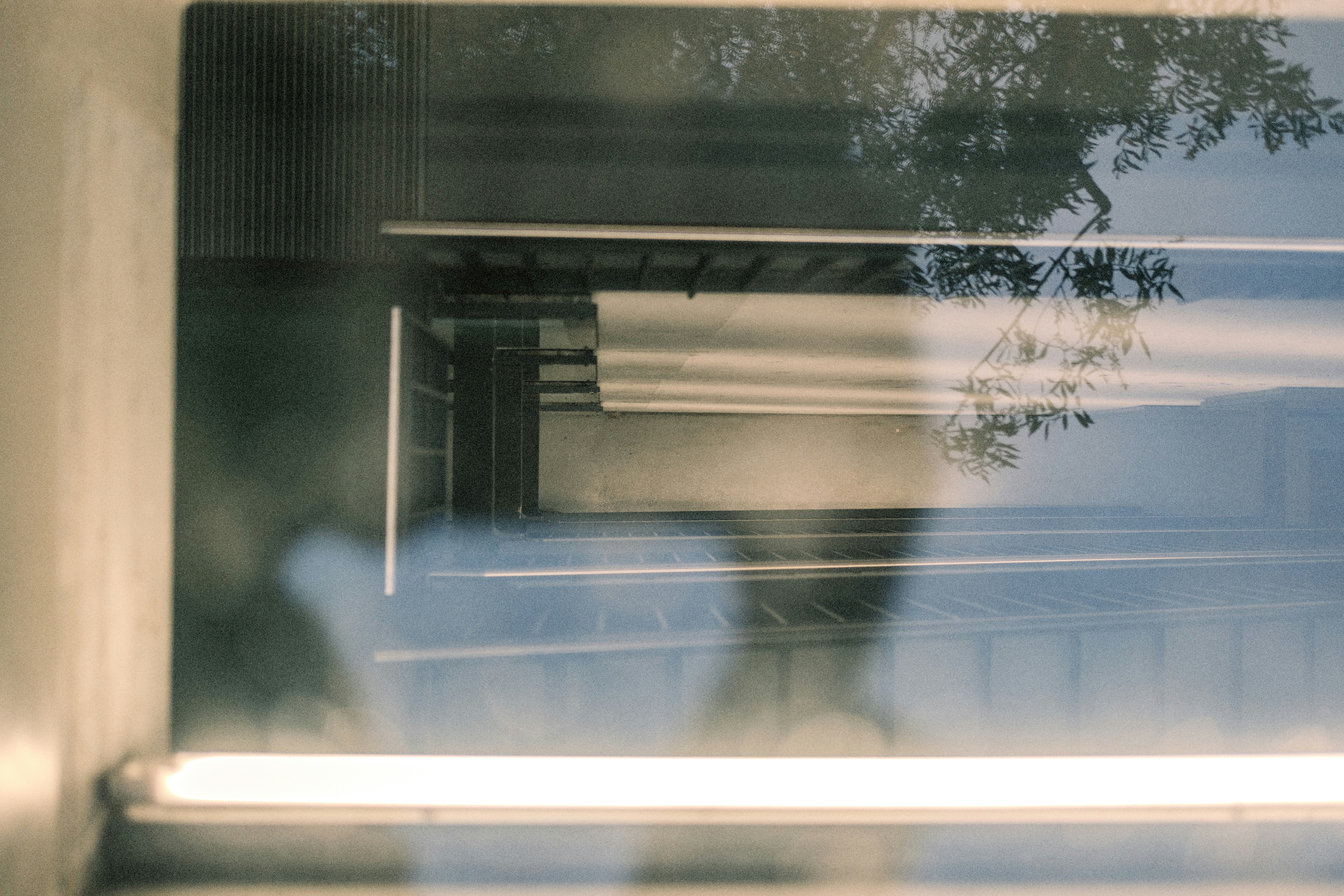 Photo by jonah_t
