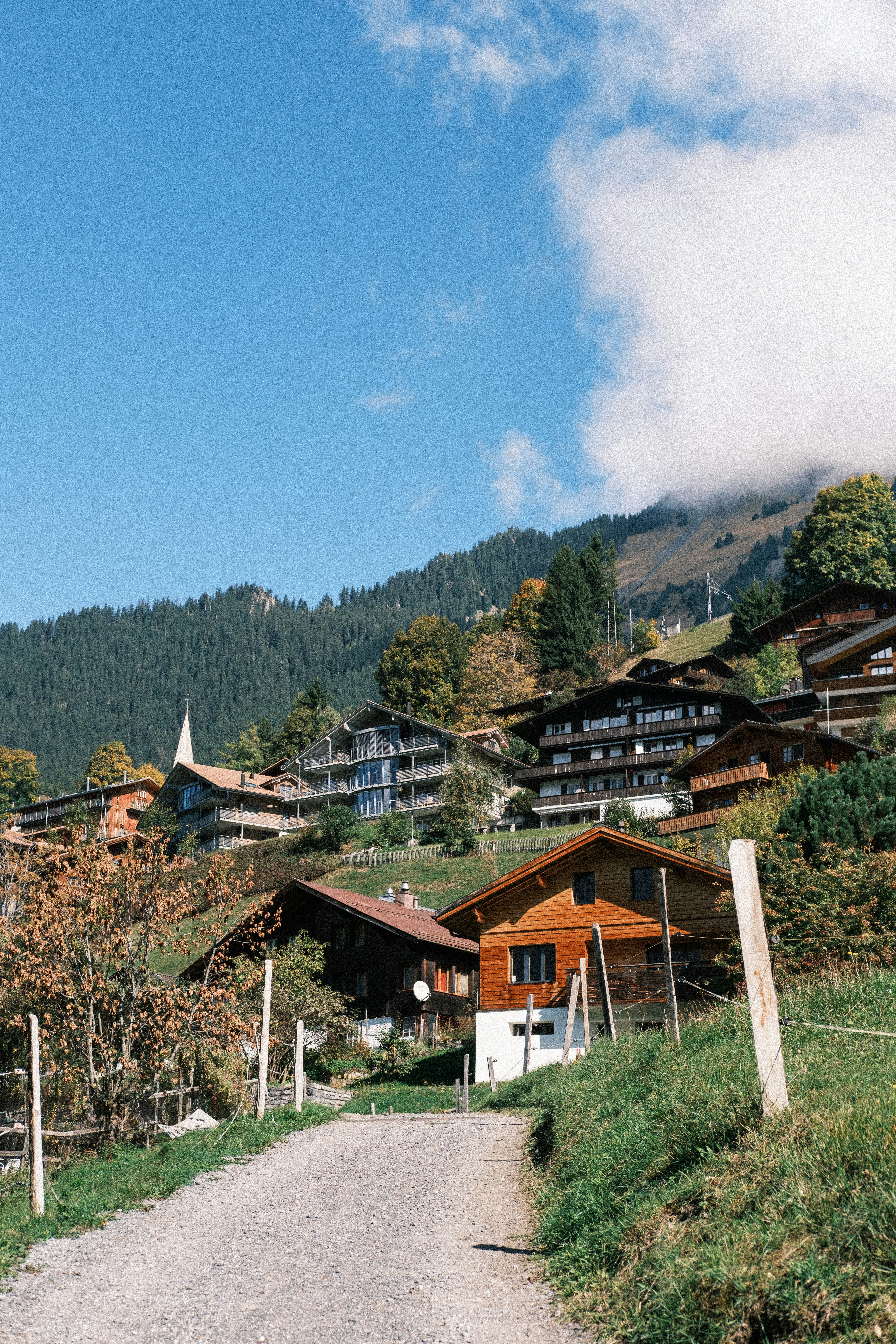 alpine architecture