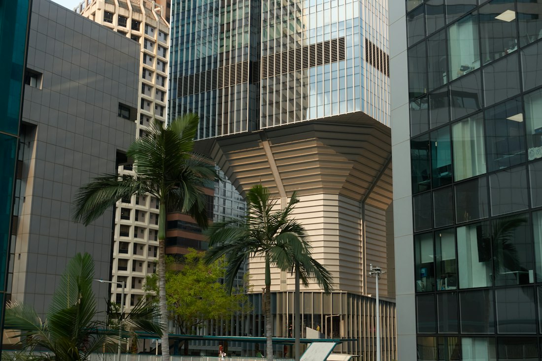 Modern glass office towers with palm trees in the foreground, no people visible