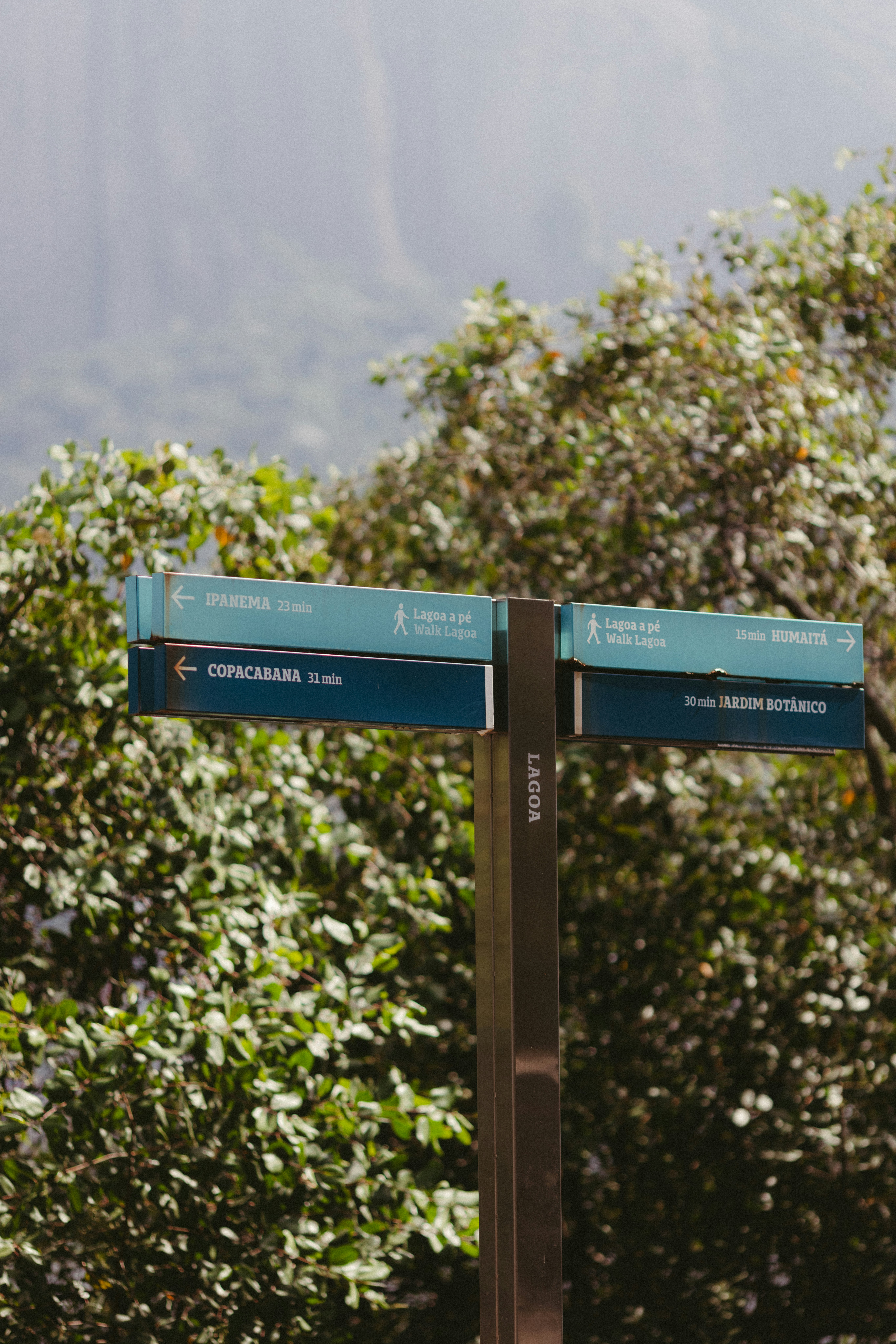 Directional signs amidst lush green trees and mountains.