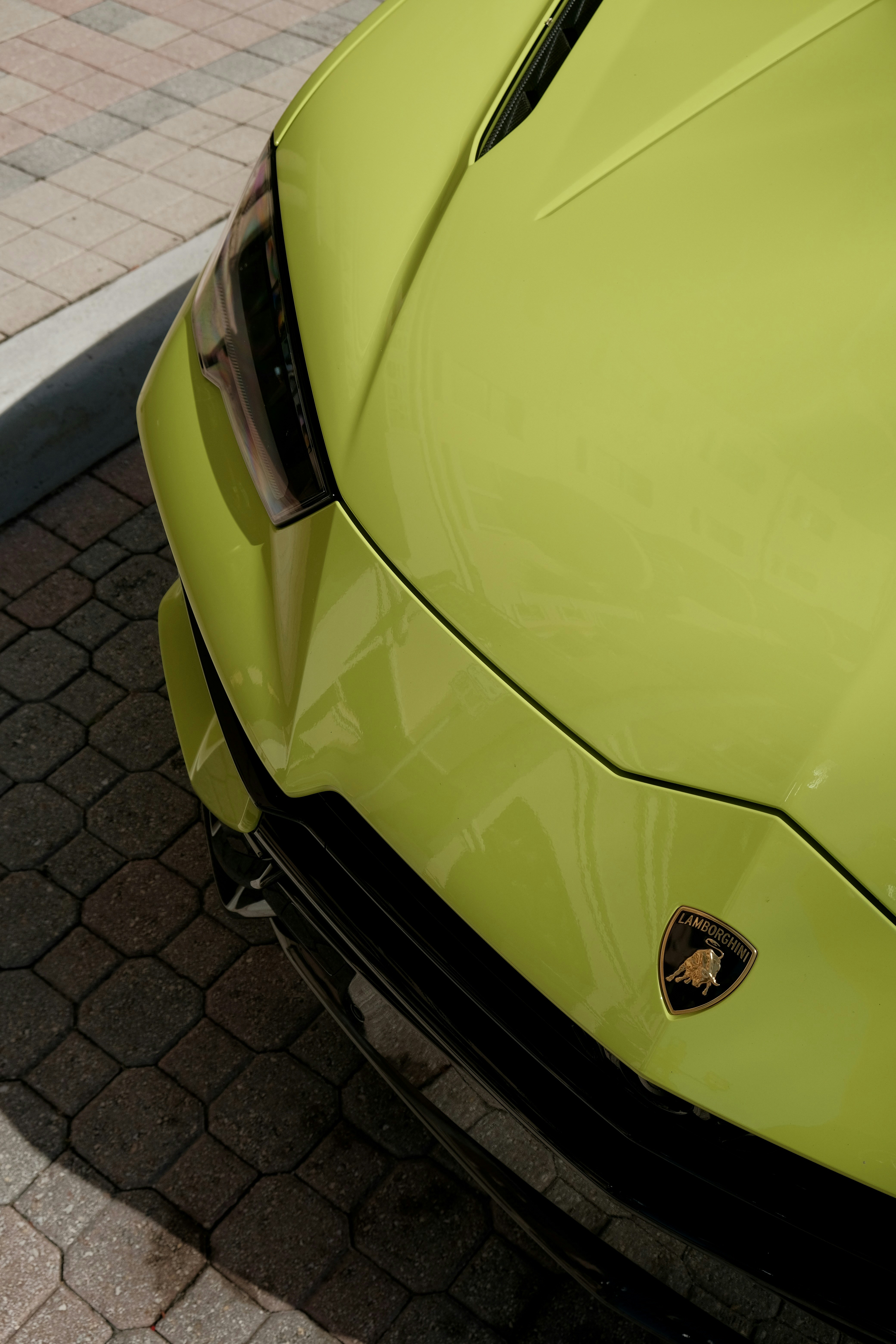 Close-up of a bright yellow sports car hood.