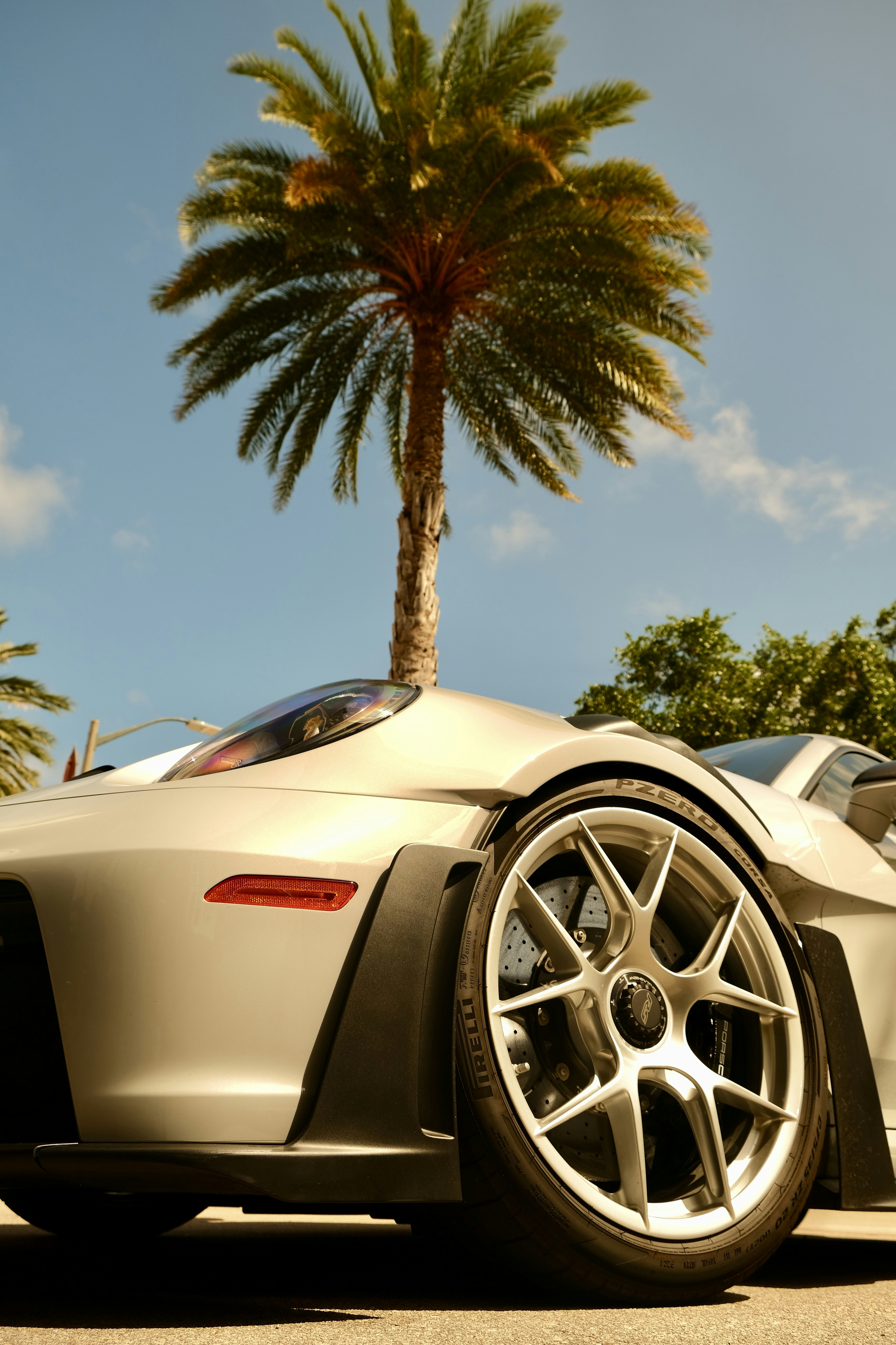 Silver sports car parked under a palm tree.