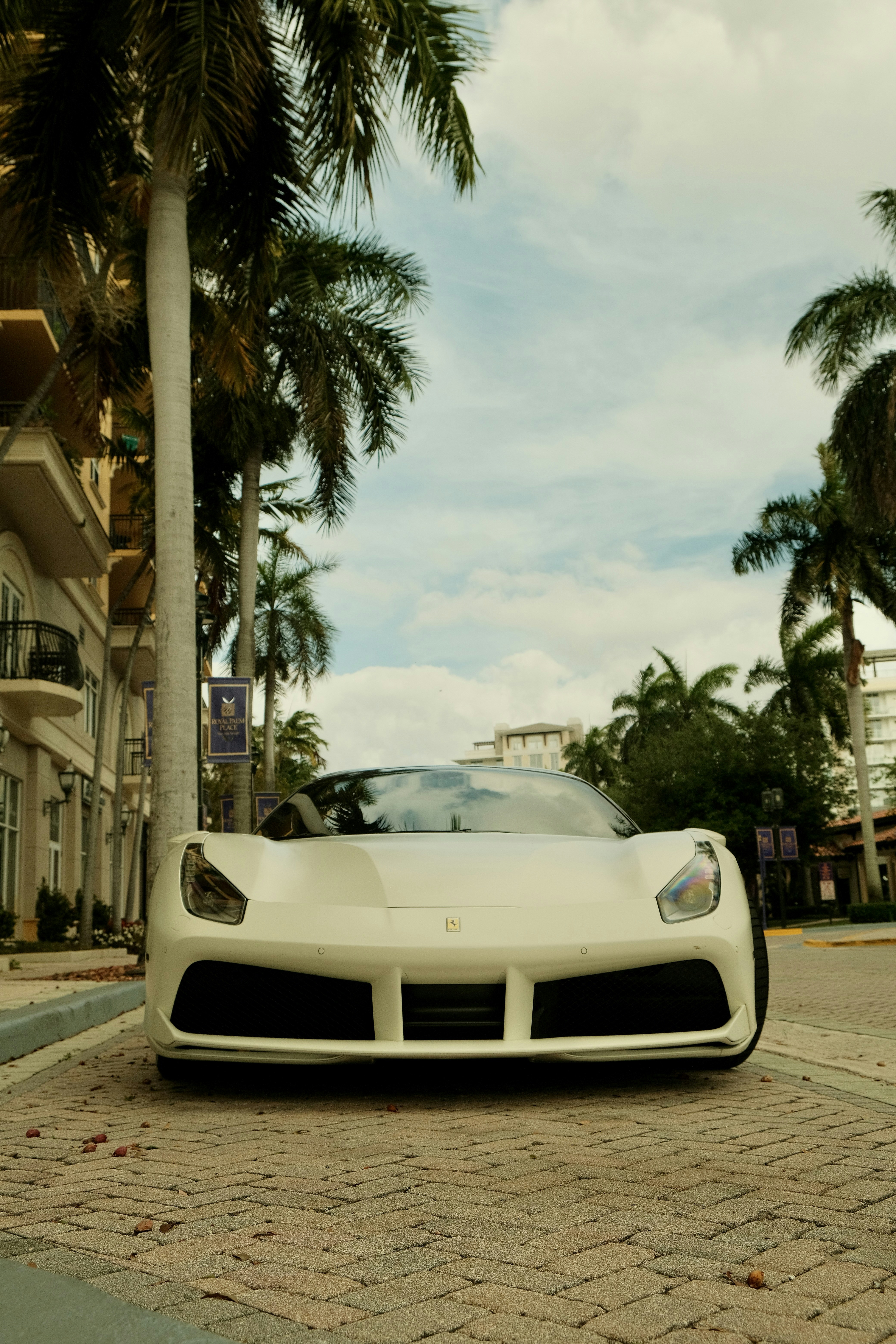 White sports car parked on a palm-lined street.