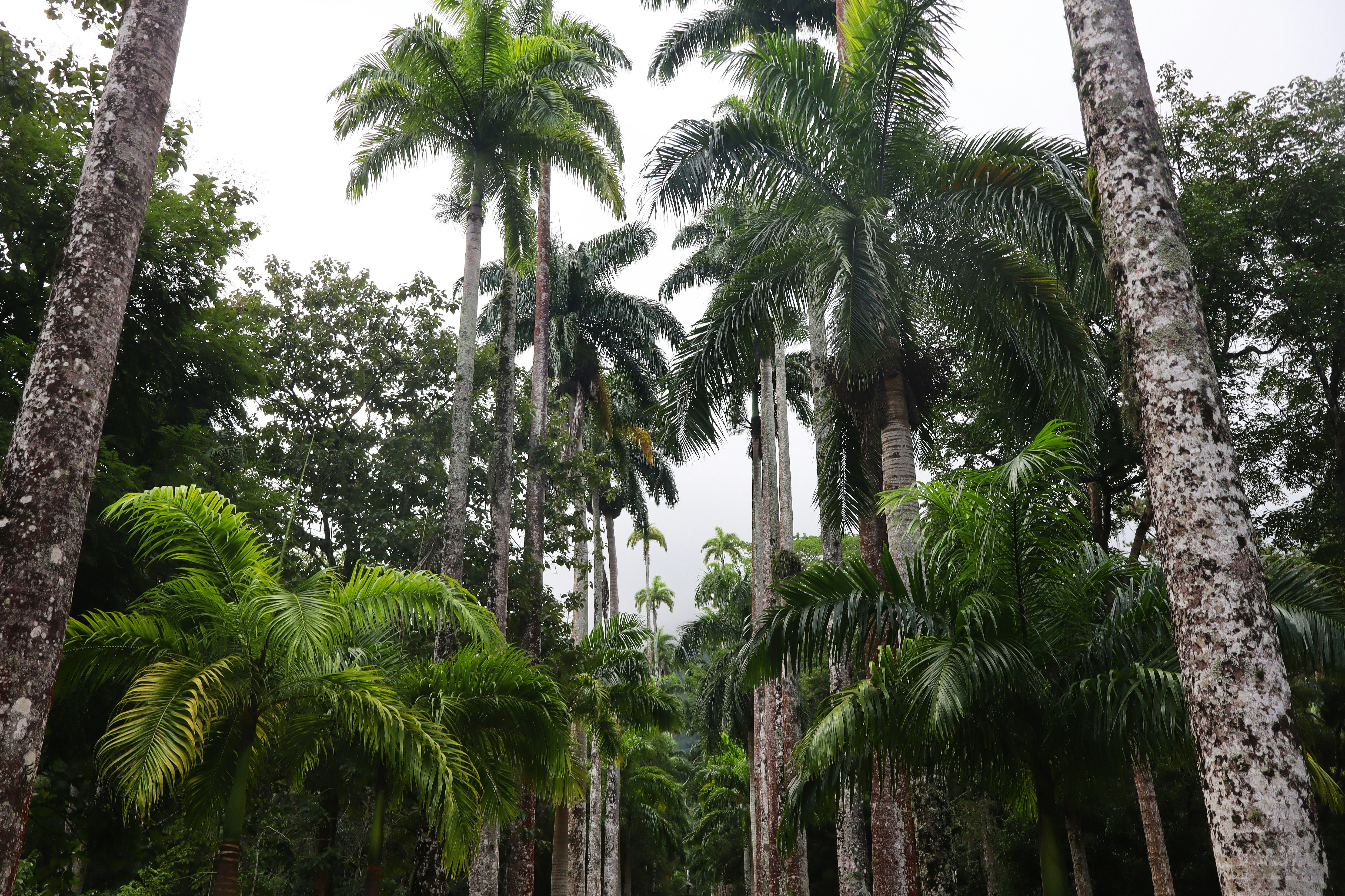Photo by mirnawabisabi