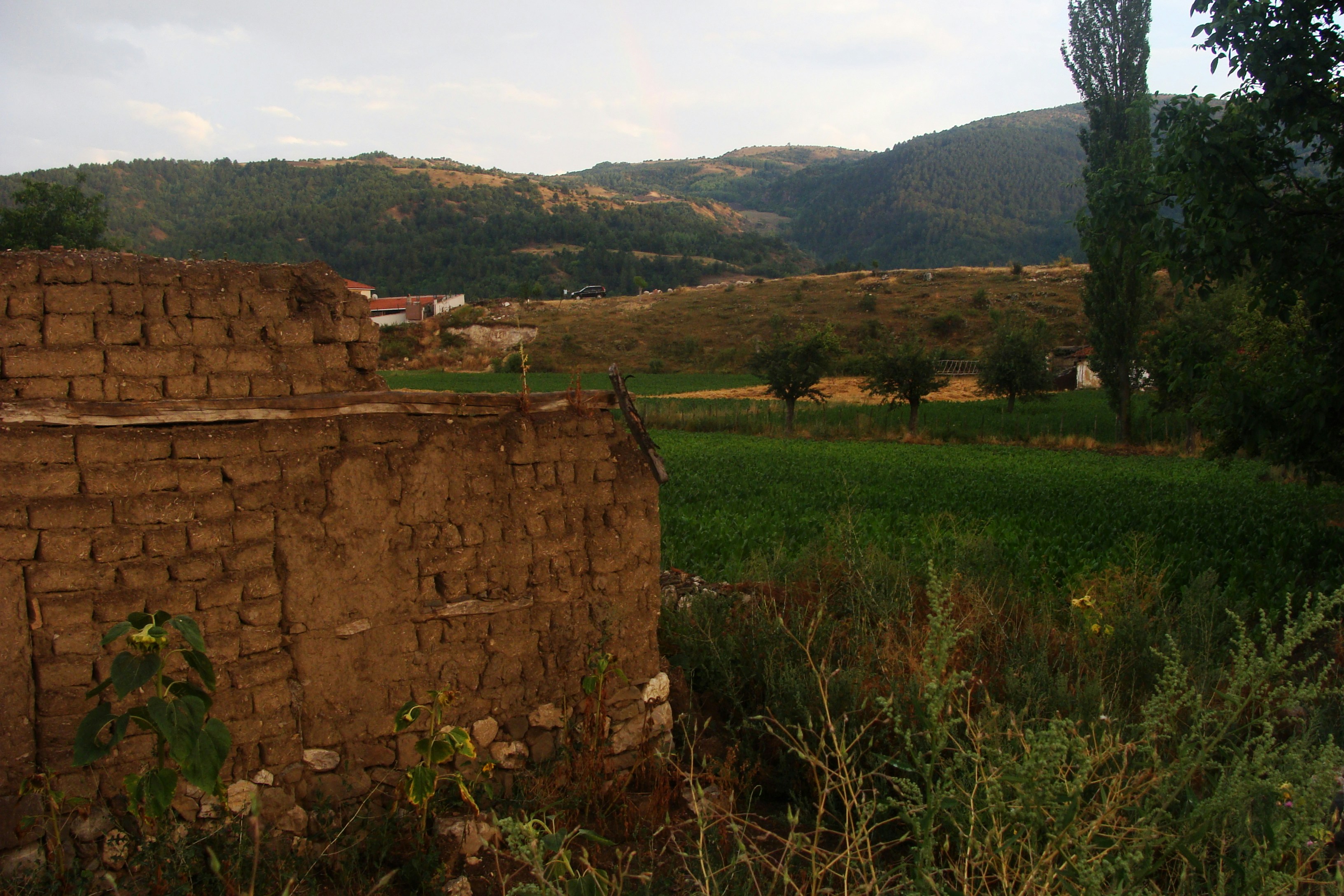Edificio in rovina in mattoni con campo verde e colline.