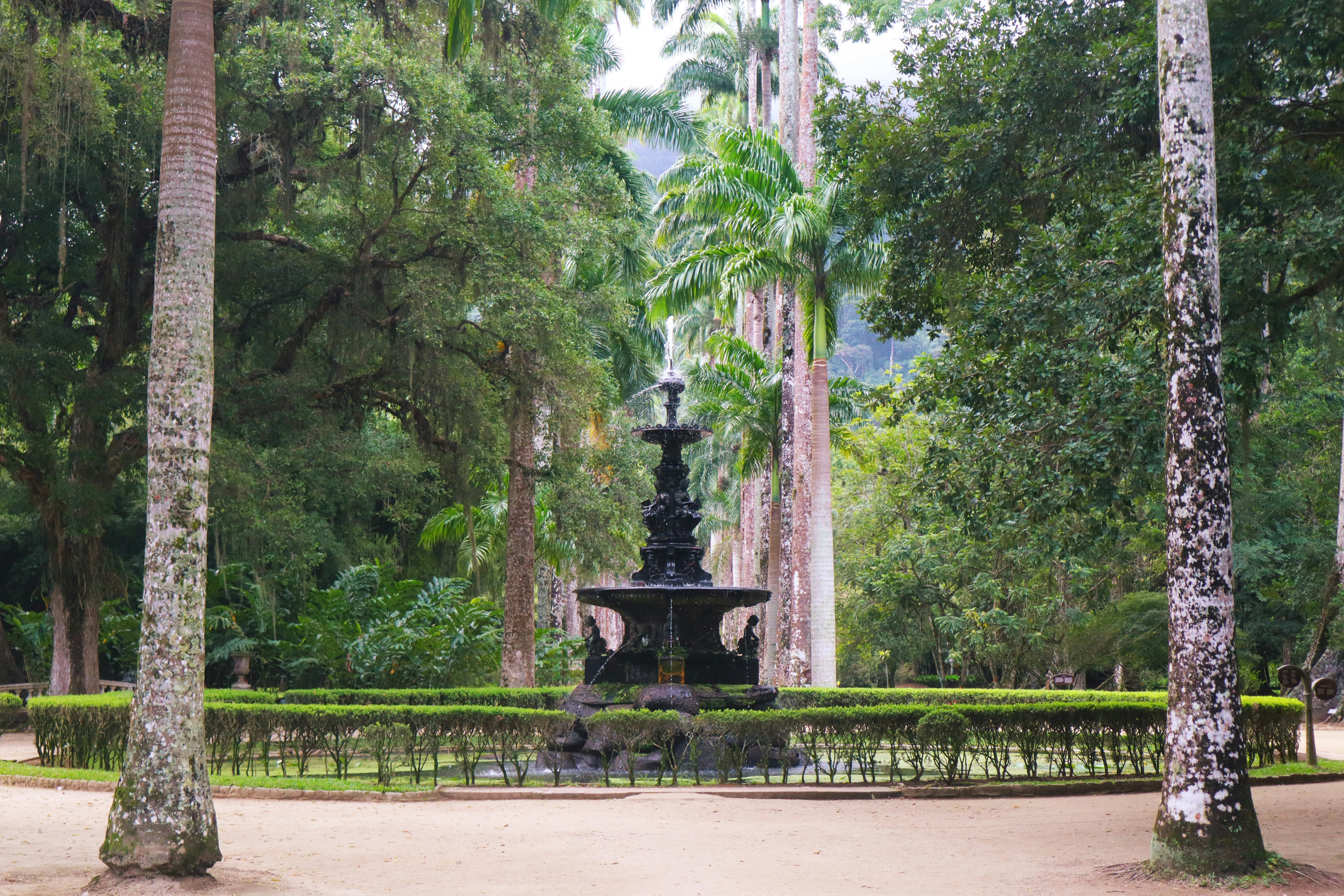 Fonte Iluminada