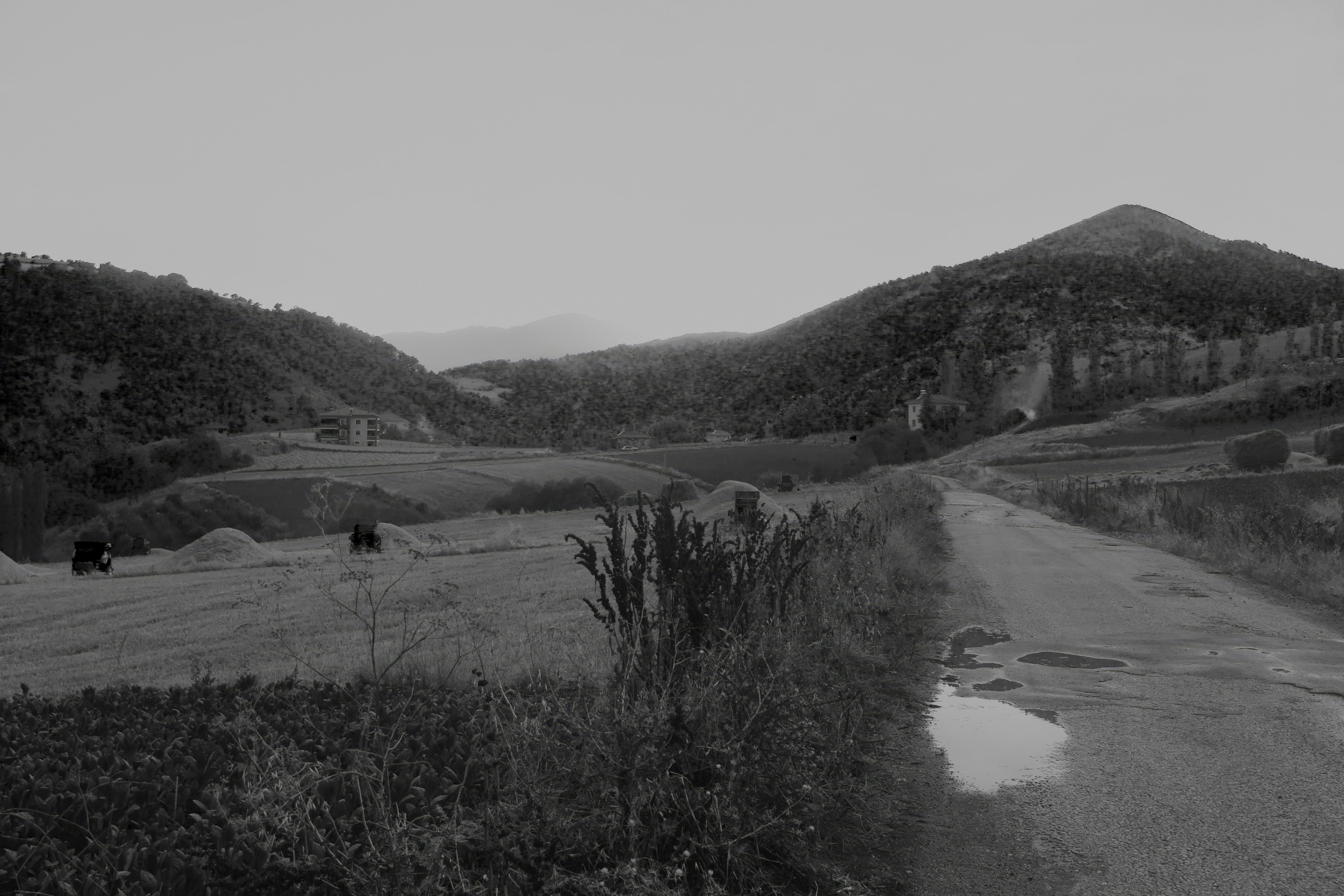 Paesaggio rurale con dolci colline e una strada sterrata
