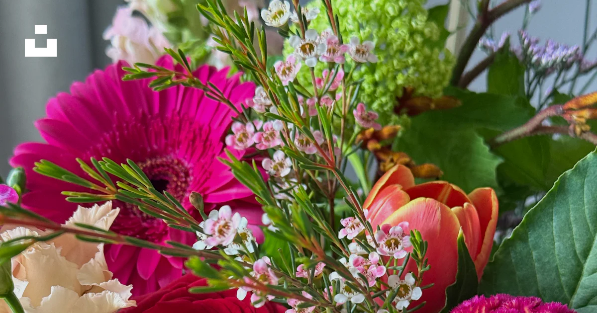 Two Red Roses For Menu A vibrant bouquet of assorted colorful flowers - Free Photo on Unsplash