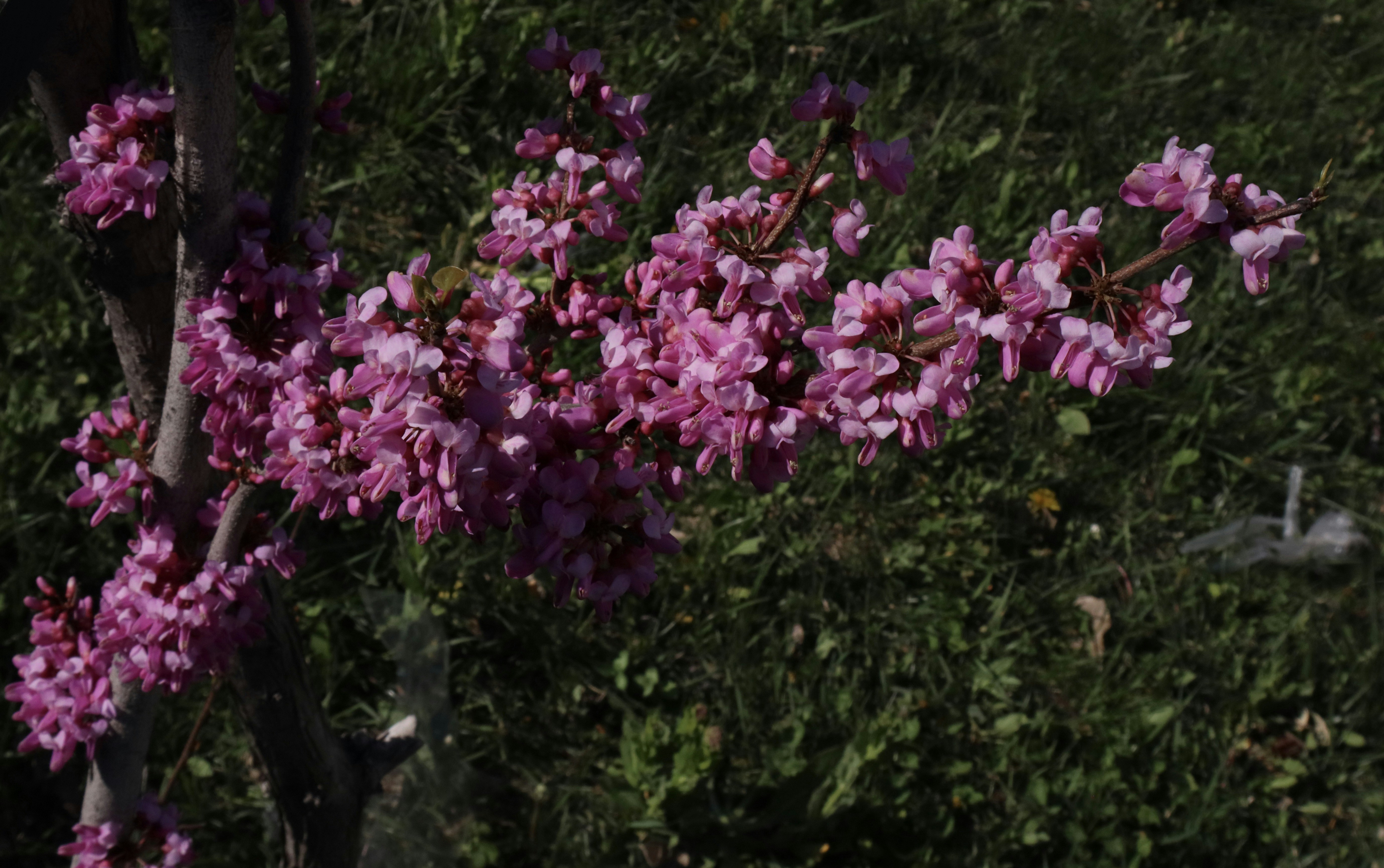 Photo by konevi