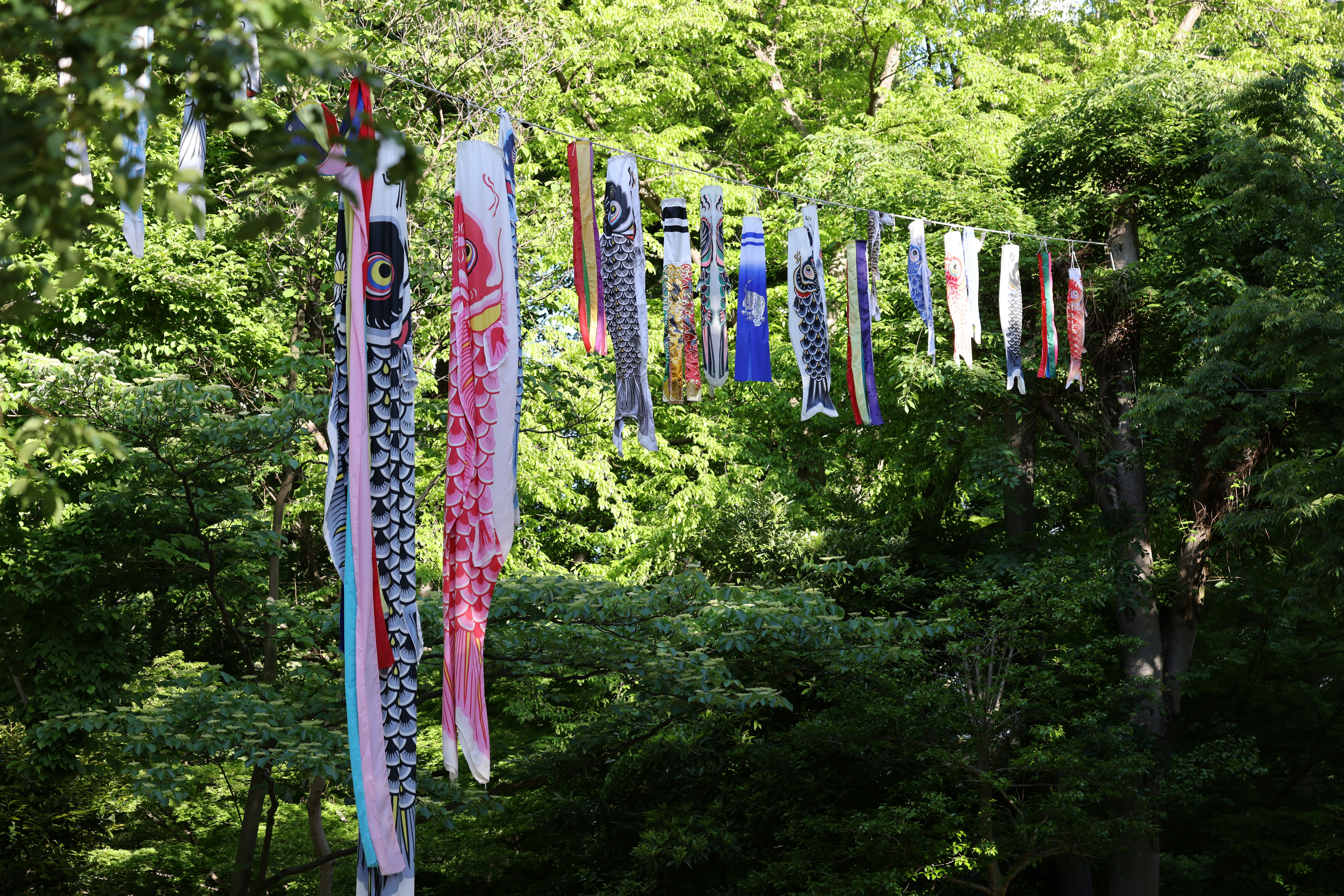 Colorful streamers hang on a wire between trees.