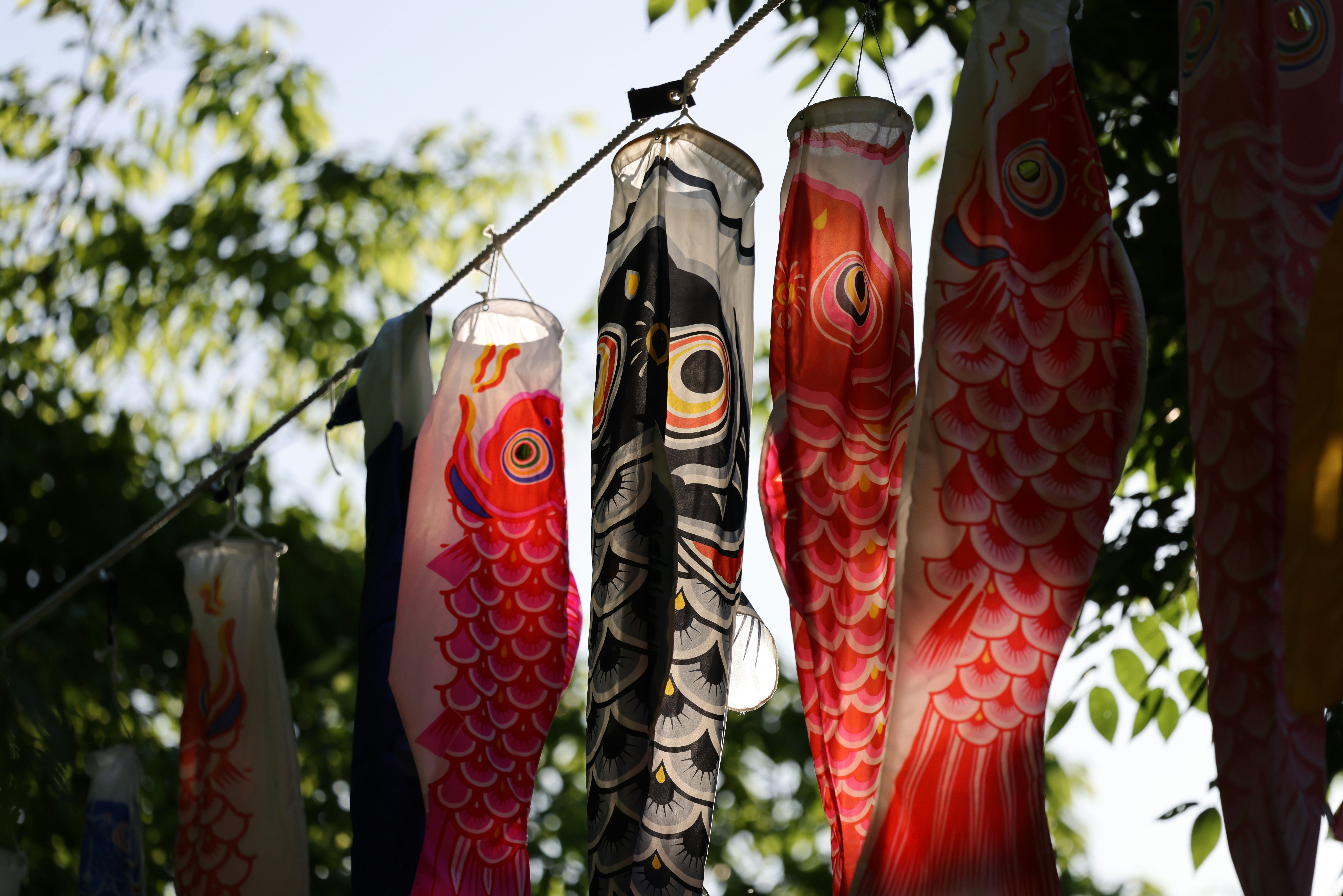 Colorful carp streamers hanging from a line outdoors.