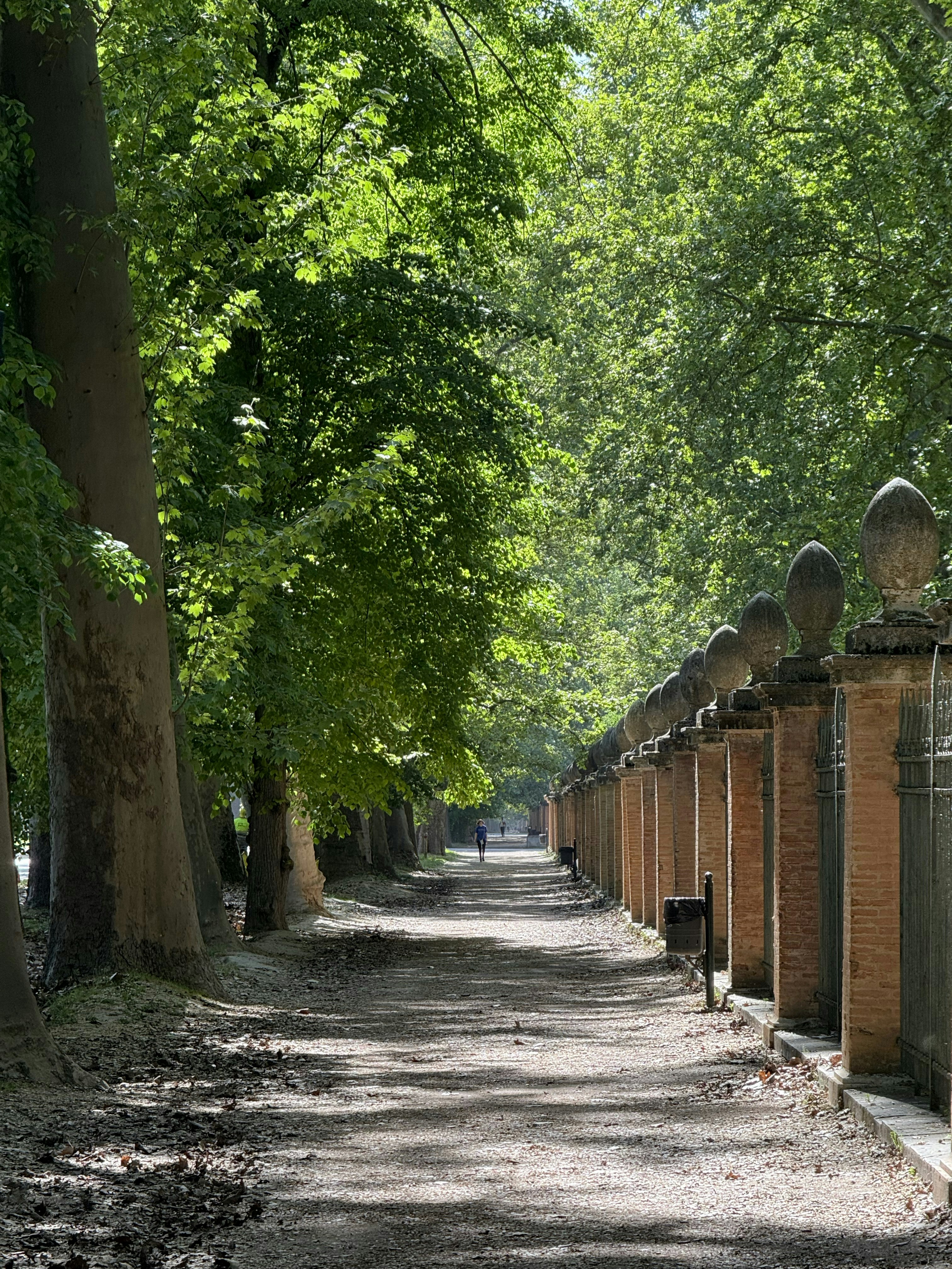 A tree-lined path with a stone wall and pillars.