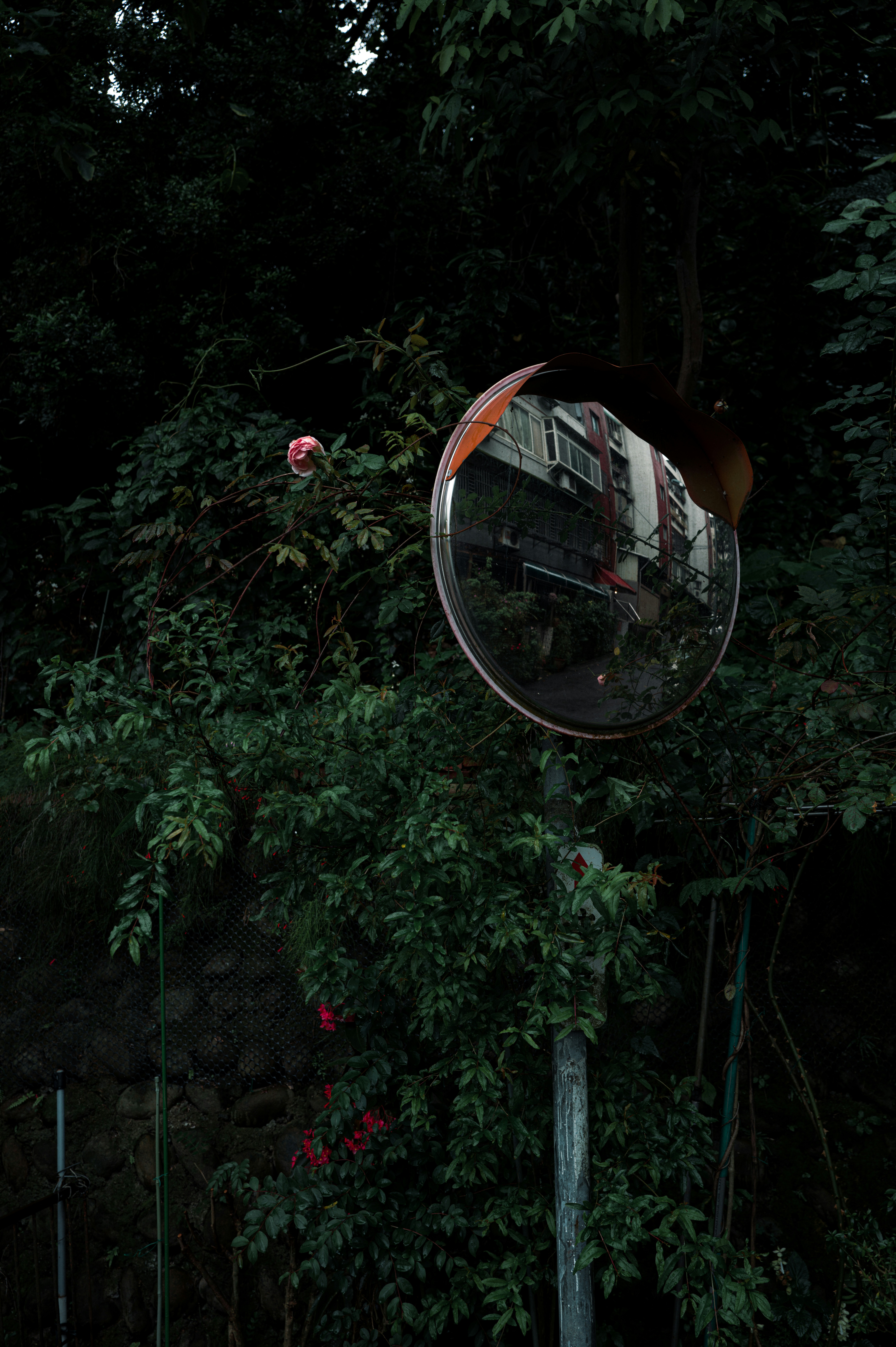 Espelho convexo refletindo edifícios em meio a folhagem verde e exuberante.