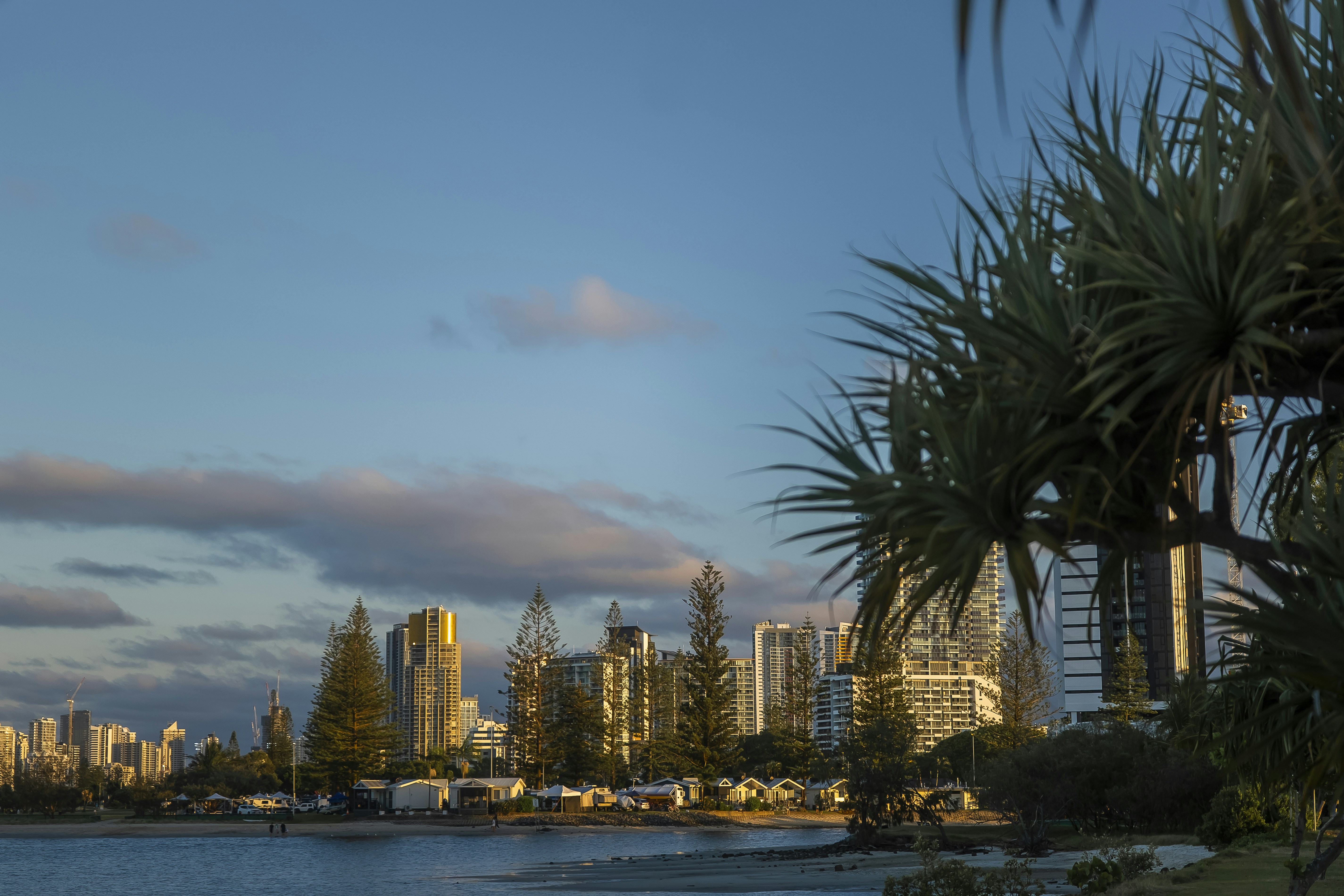 City skyline with palm trees and ocean at sunset