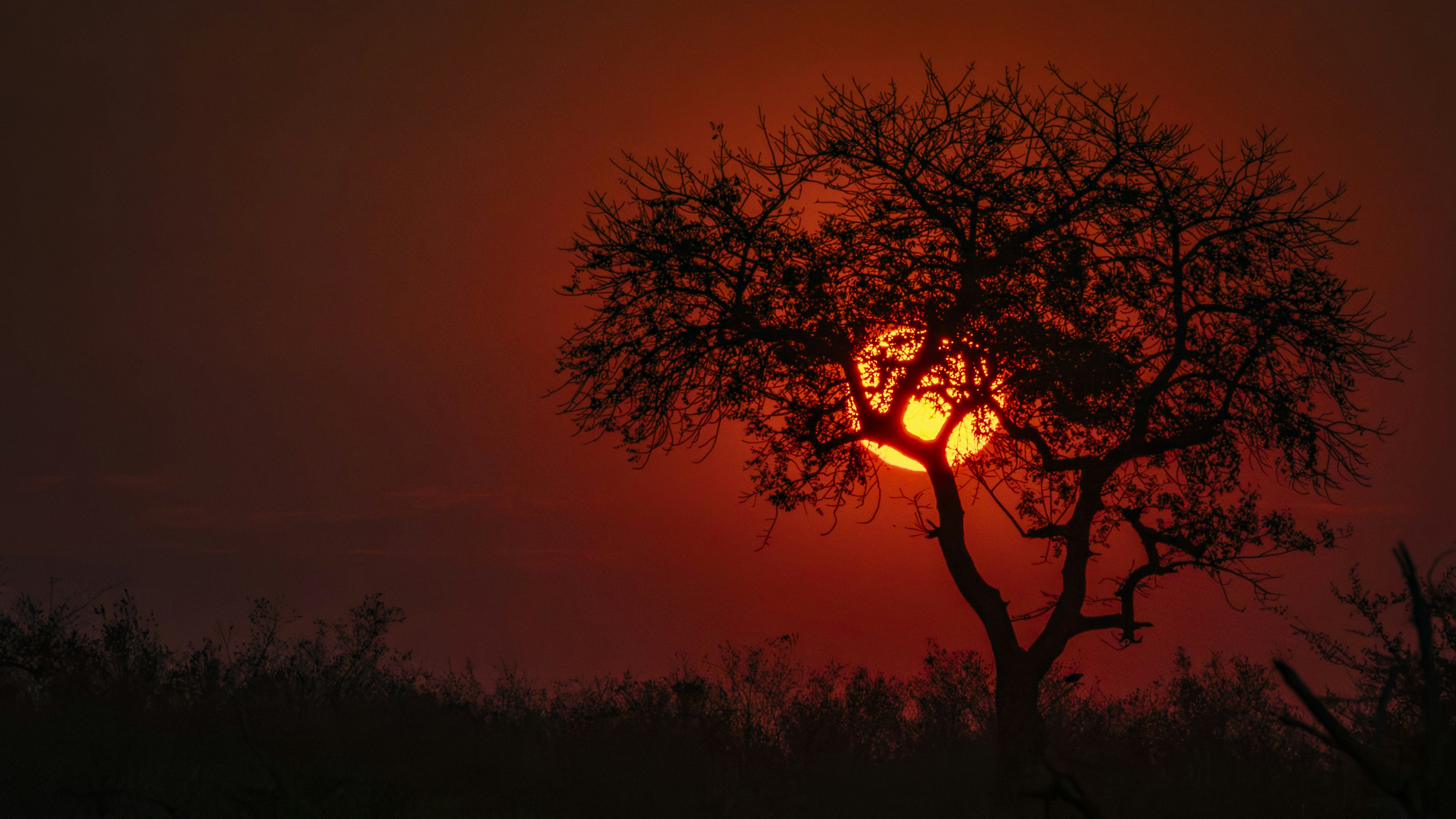 African dust creates dramatic sunsets and silhouettes when on safari